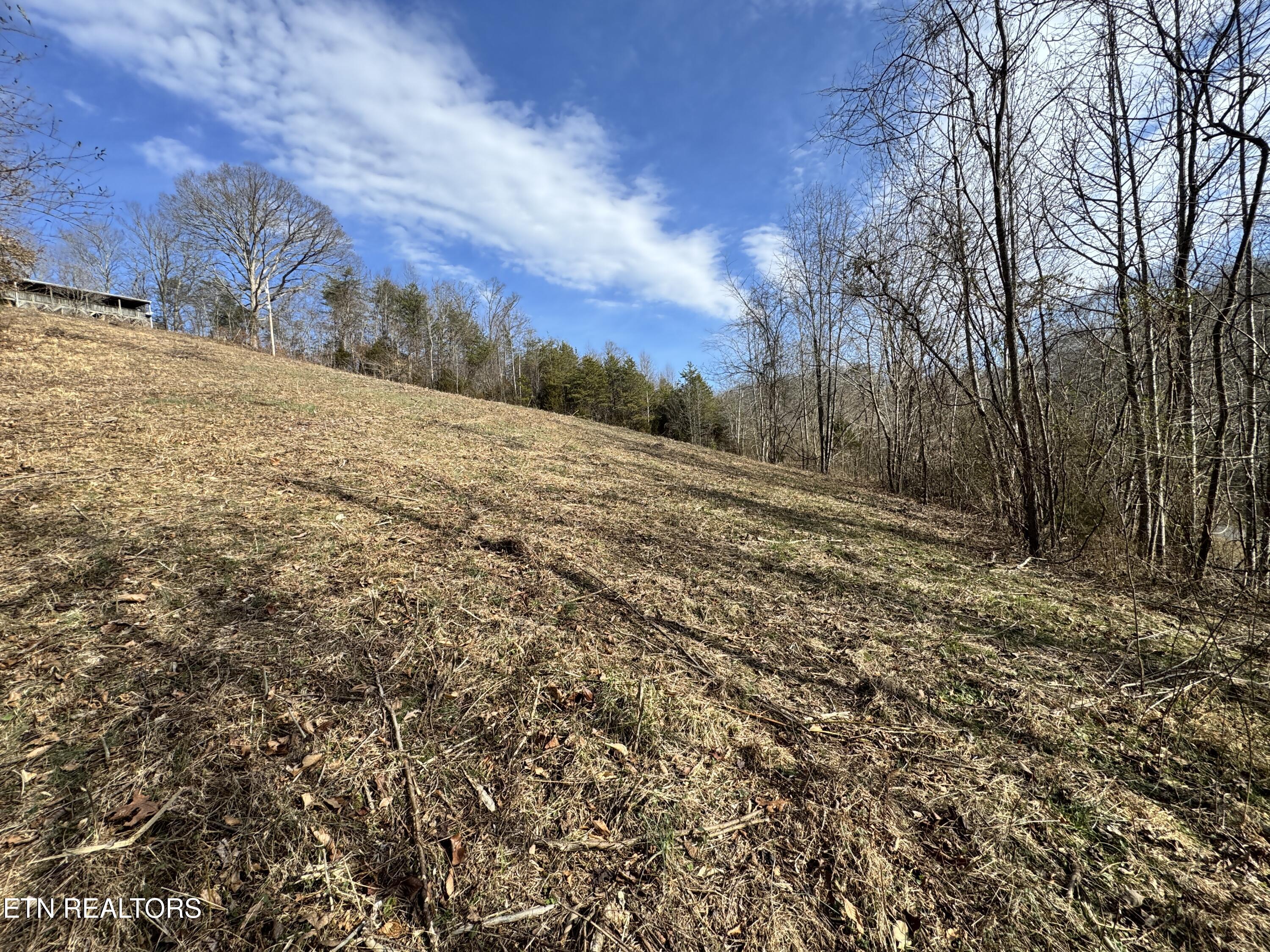 1135 Ned Clark Road Bean Station TN 37708