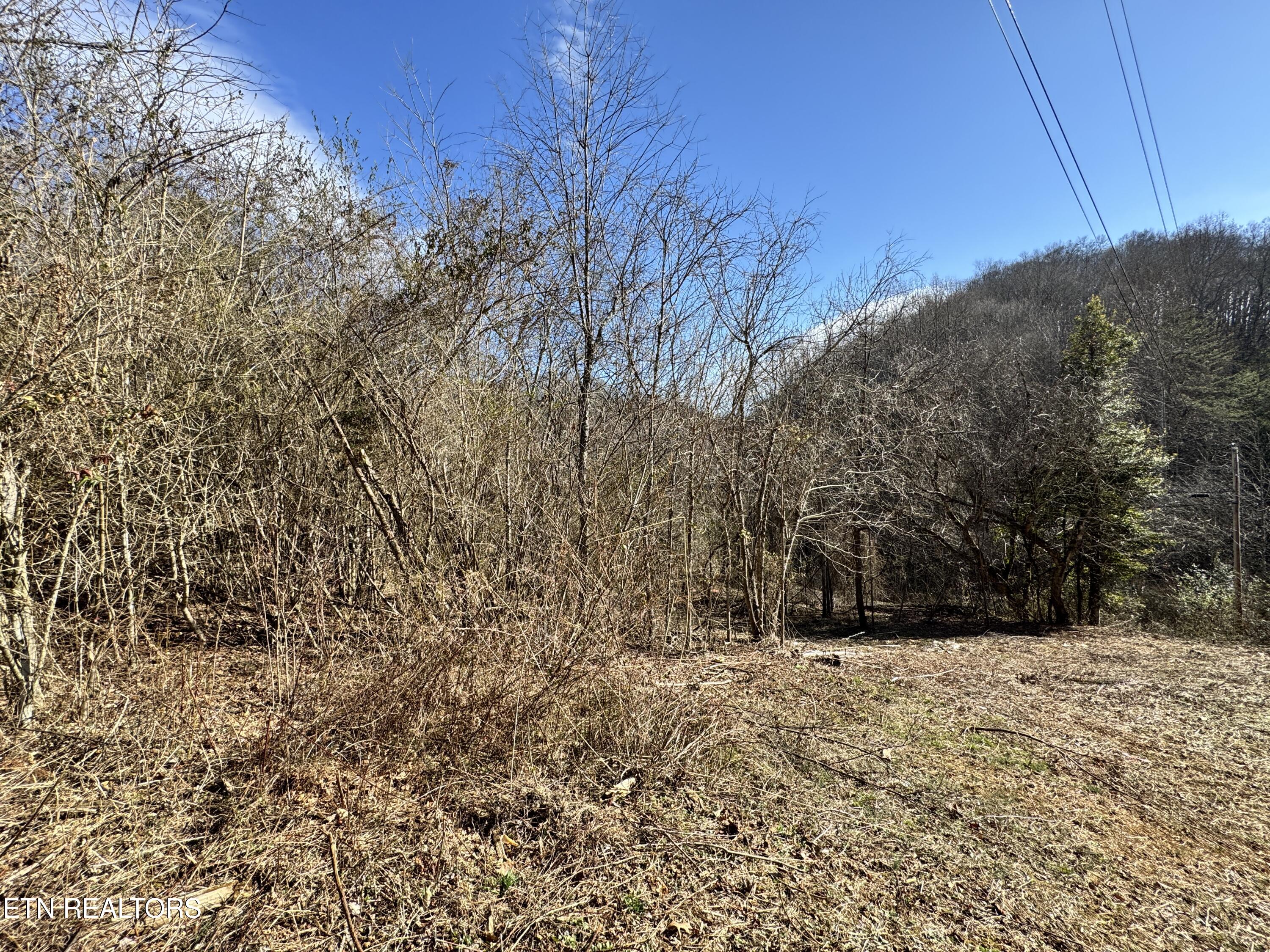 1135 Ned Clark Road Bean Station TN 37708