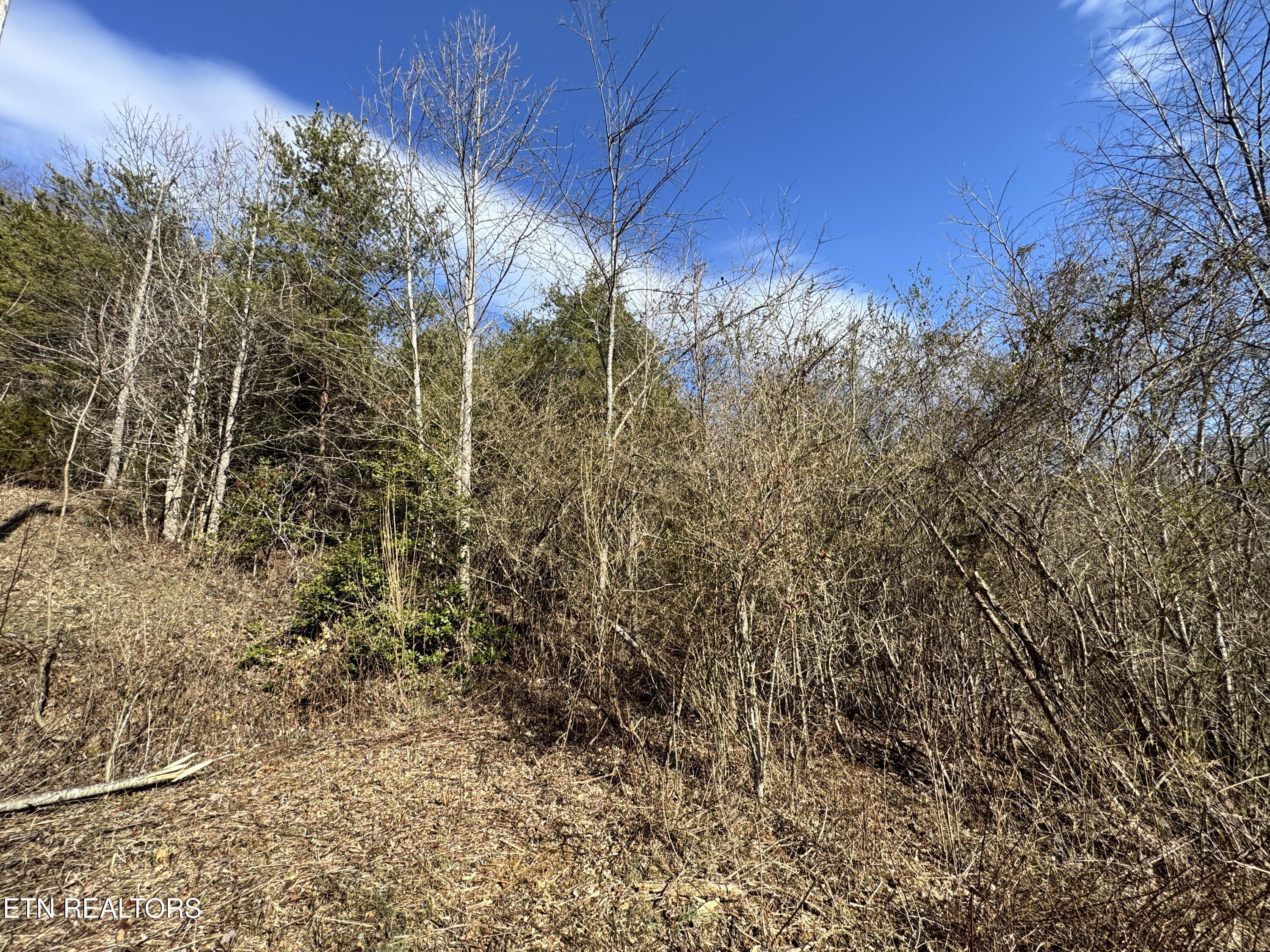 1135 Ned Clark Road Bean Station TN 37708