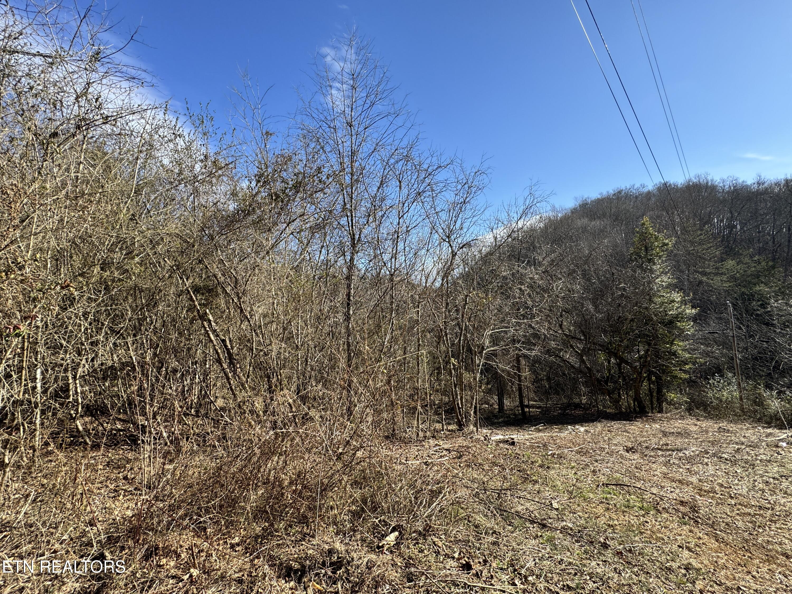 1135 Ned Clark Road Bean Station TN 37708