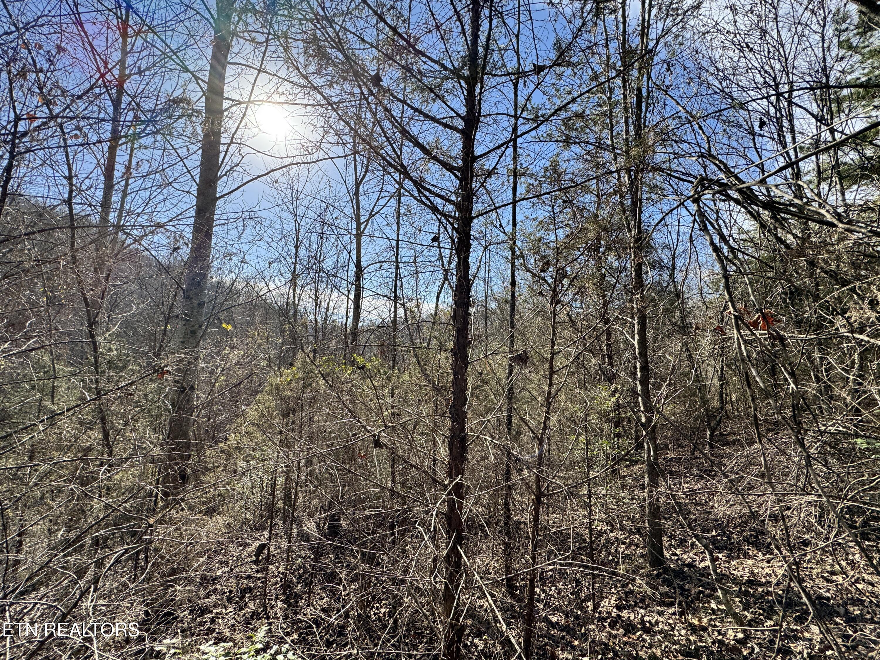 1135 Ned Clark Road Bean Station TN 37708