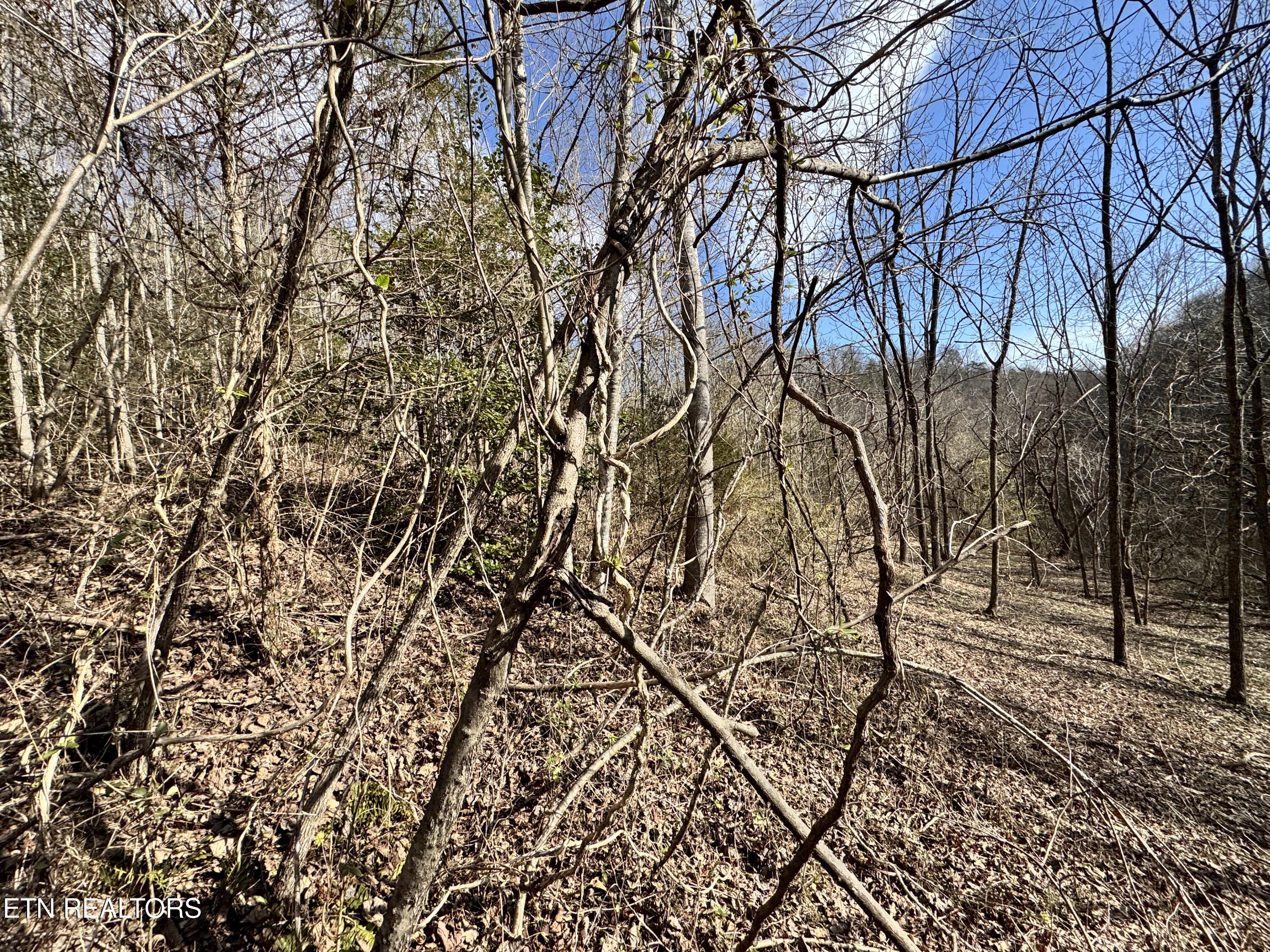 1135 Ned Clark Road Bean Station TN 37708
