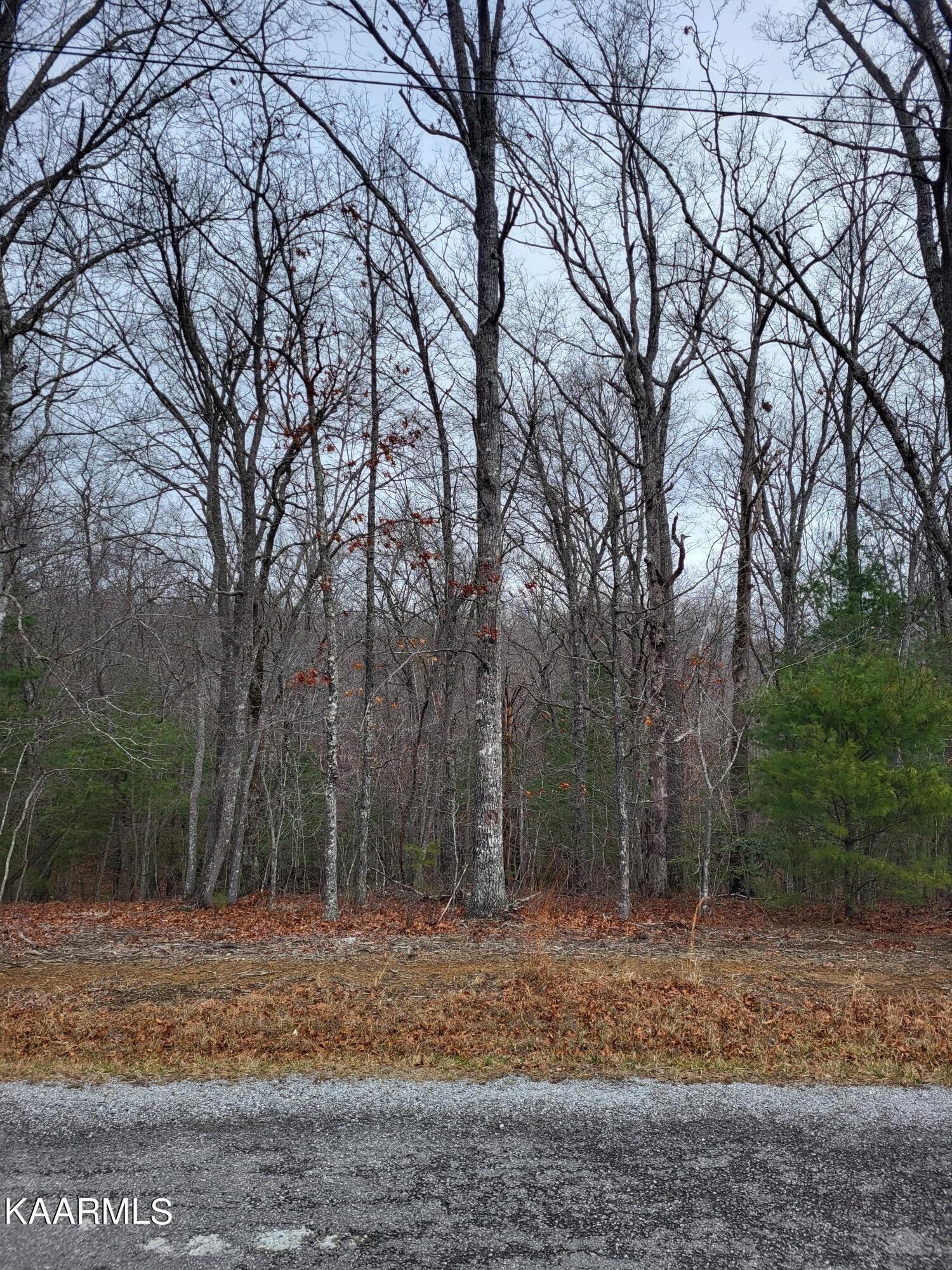 105 Rosemont Circle Crossville TN 38558