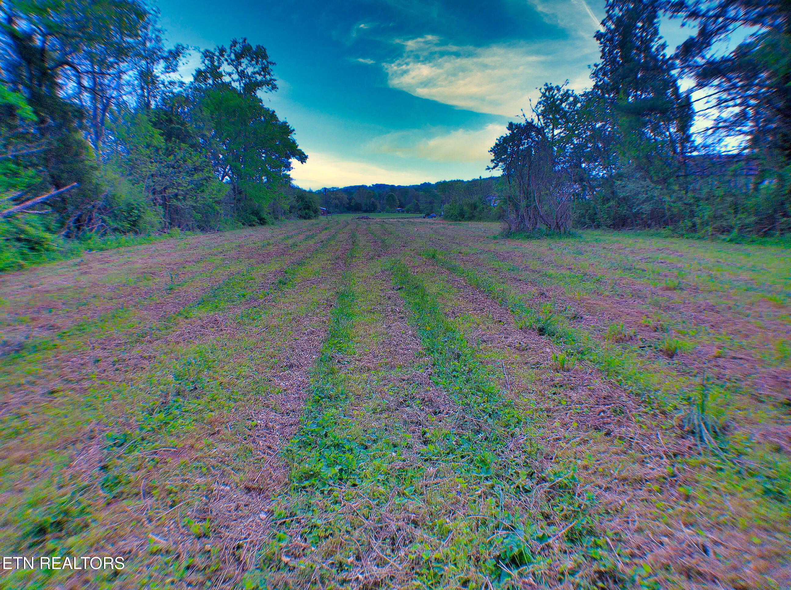 471 Park Road Caryville TN 37714
