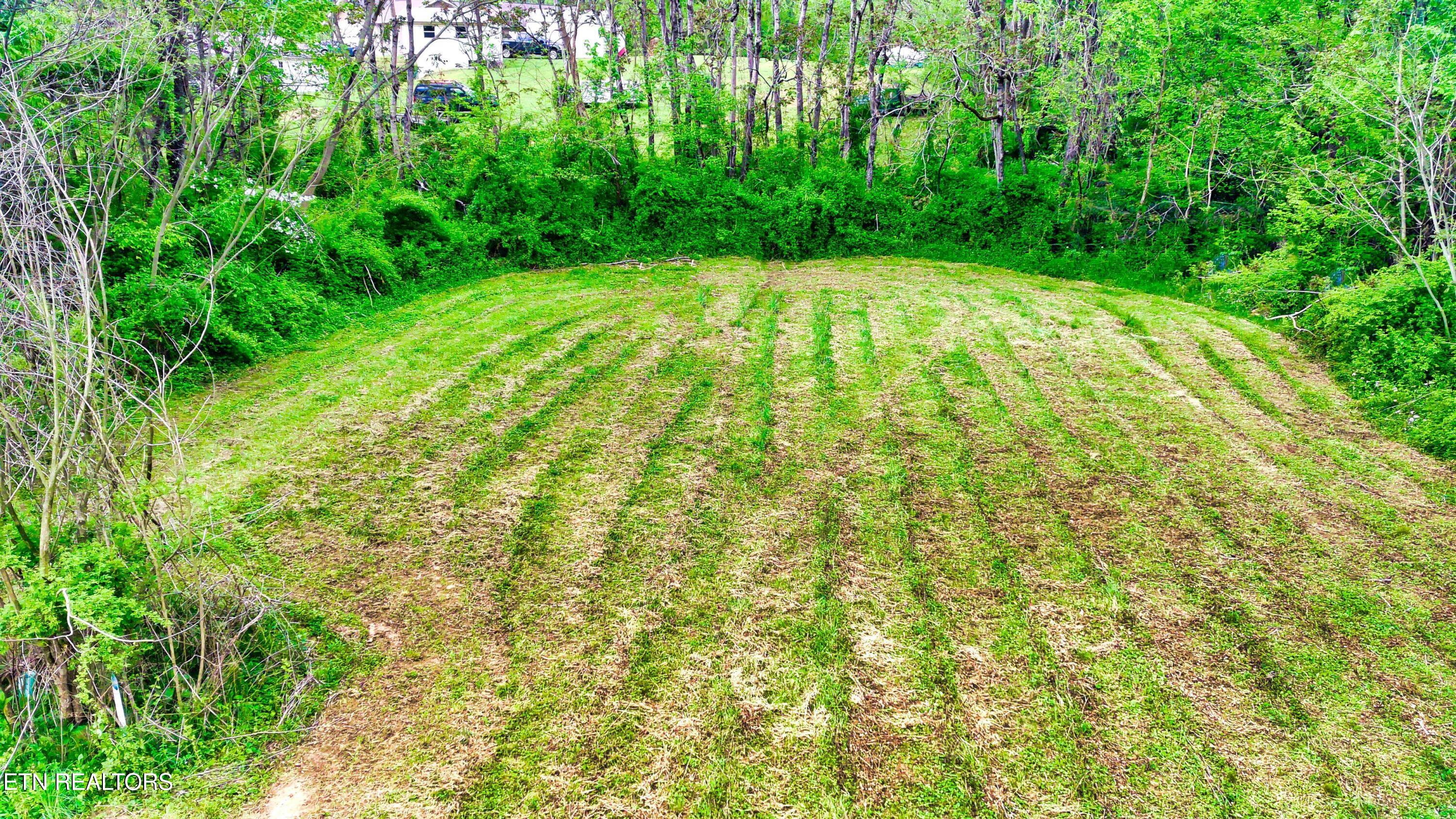 471 Park Road Caryville TN 37714