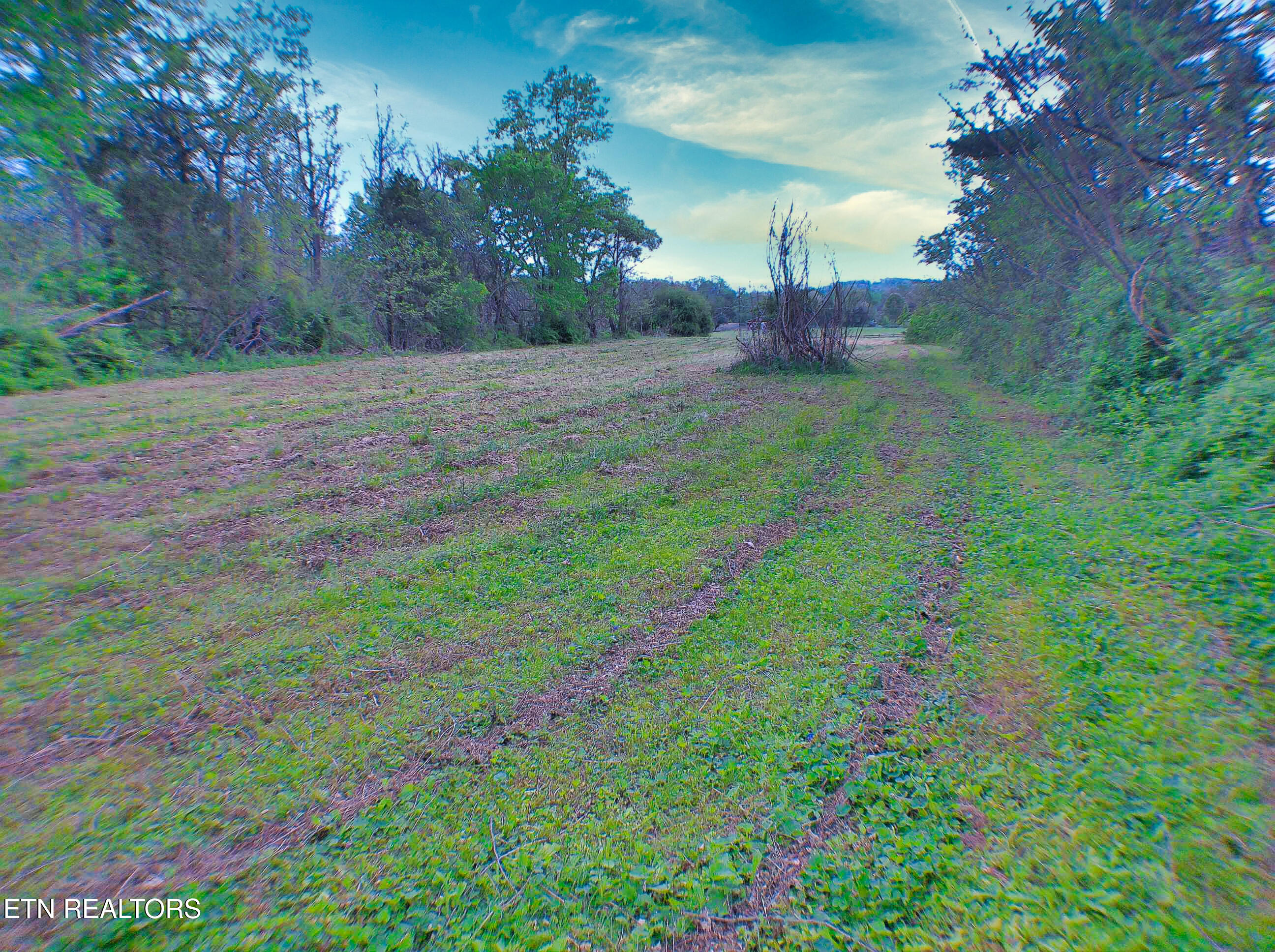 471 Park Road Caryville TN 37714