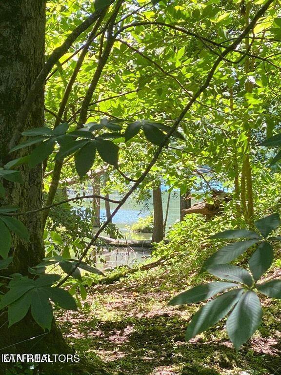 Lot 8 Chapman Road Lafollette TN 37766
