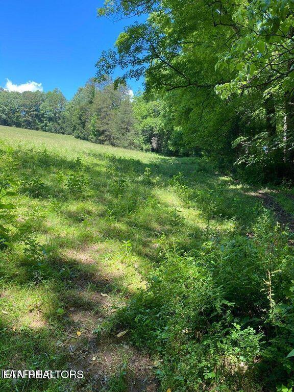 Lot 8 Chapman Road Lafollette TN 37766