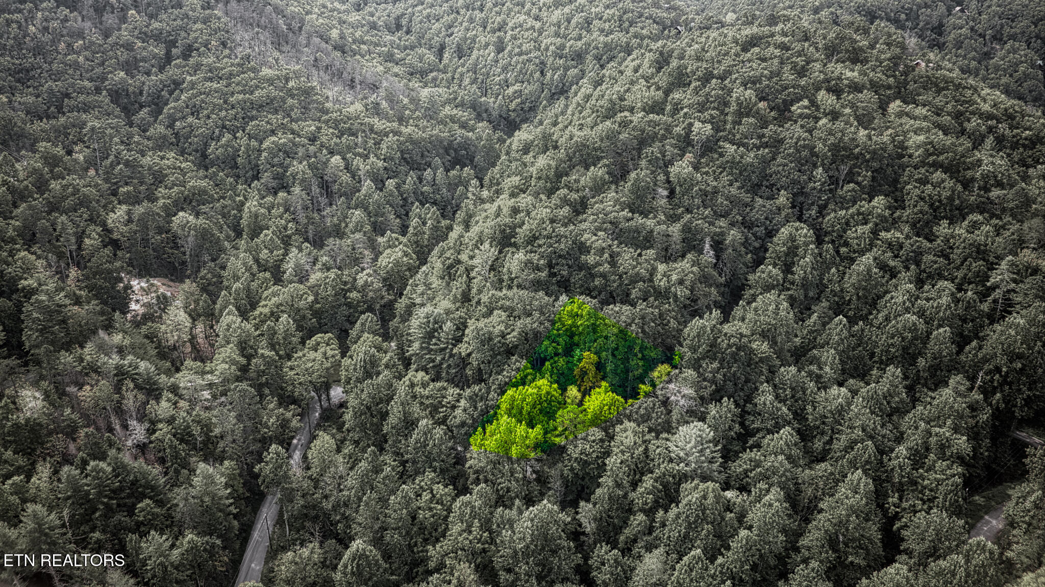 Lot 10 Stepping Stone Drive Sevierville TN 37862