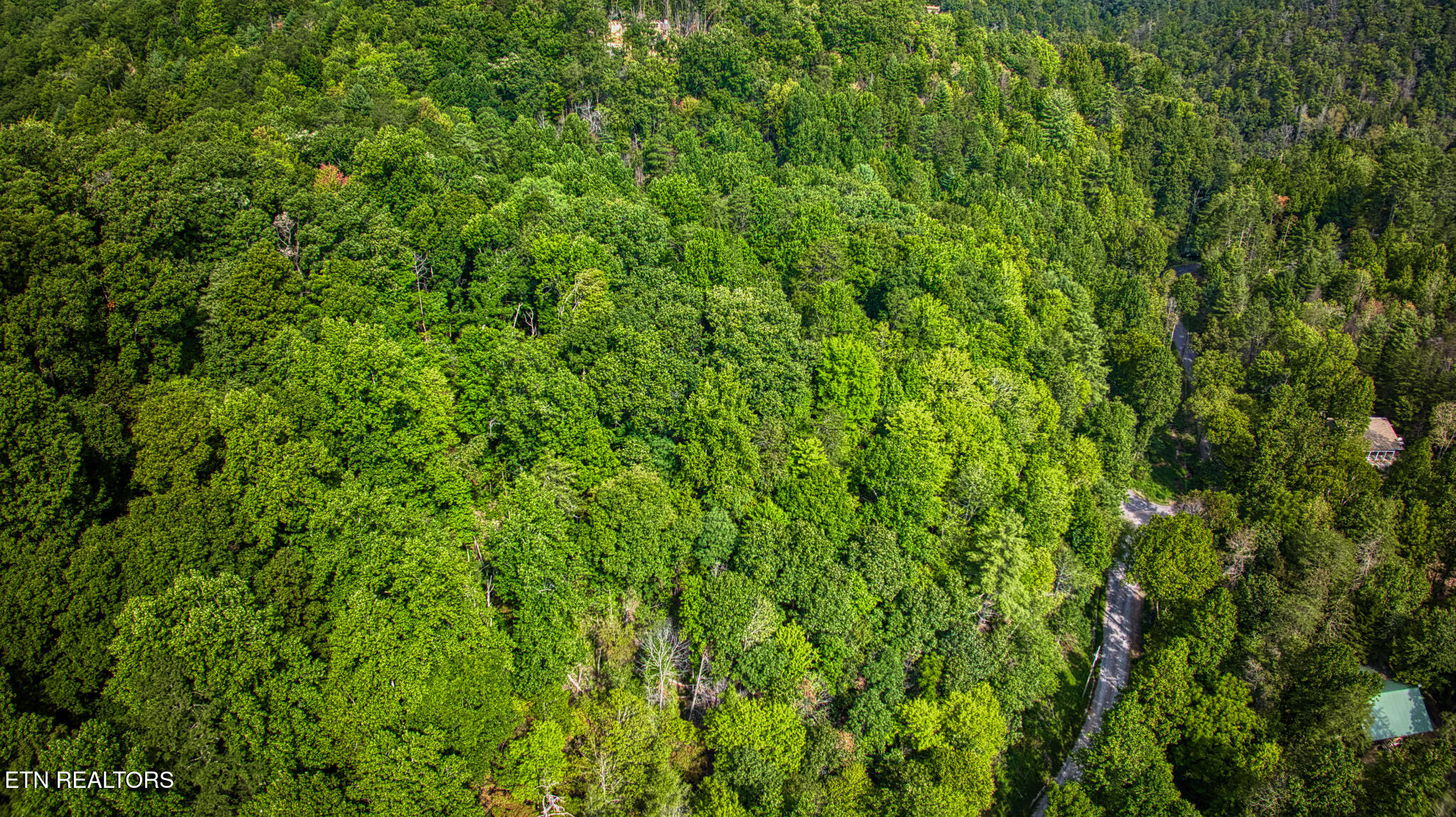Lot 10 Stepping Stone Drive Sevierville TN 37862