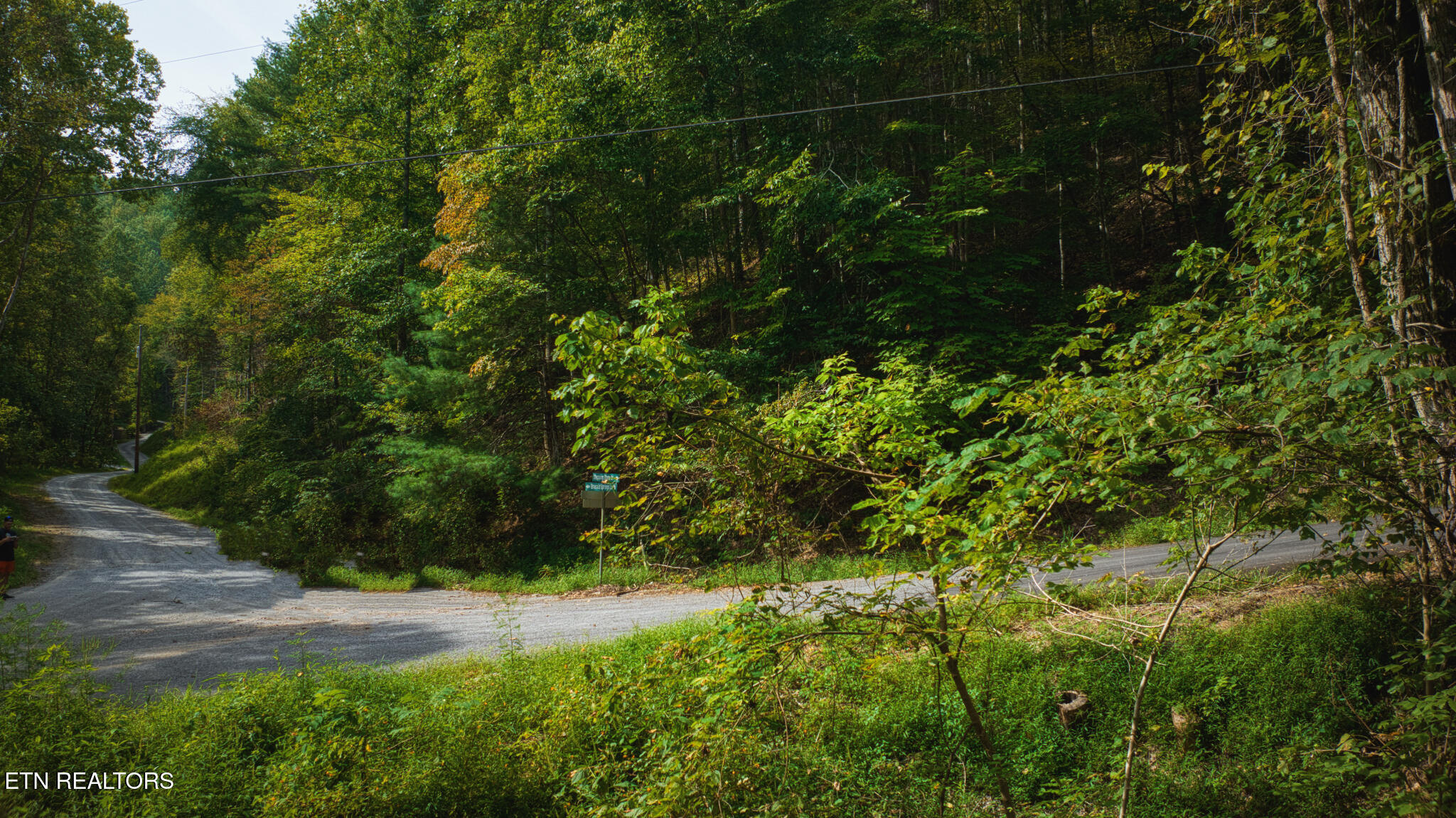 Lot 10 Stepping Stone Drive Sevierville TN 37862