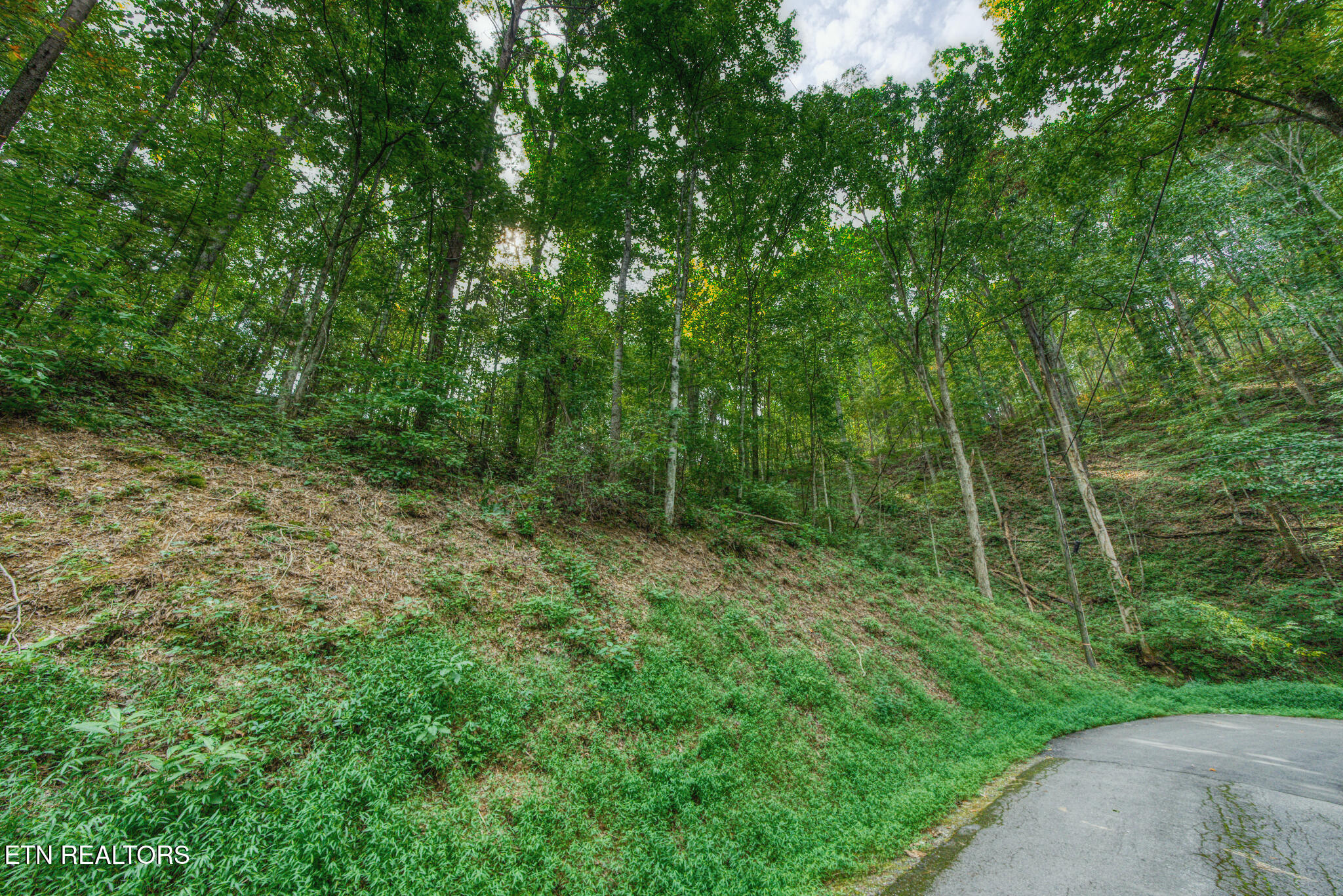 Lot 10 Stepping Stone Drive Sevierville TN 37862