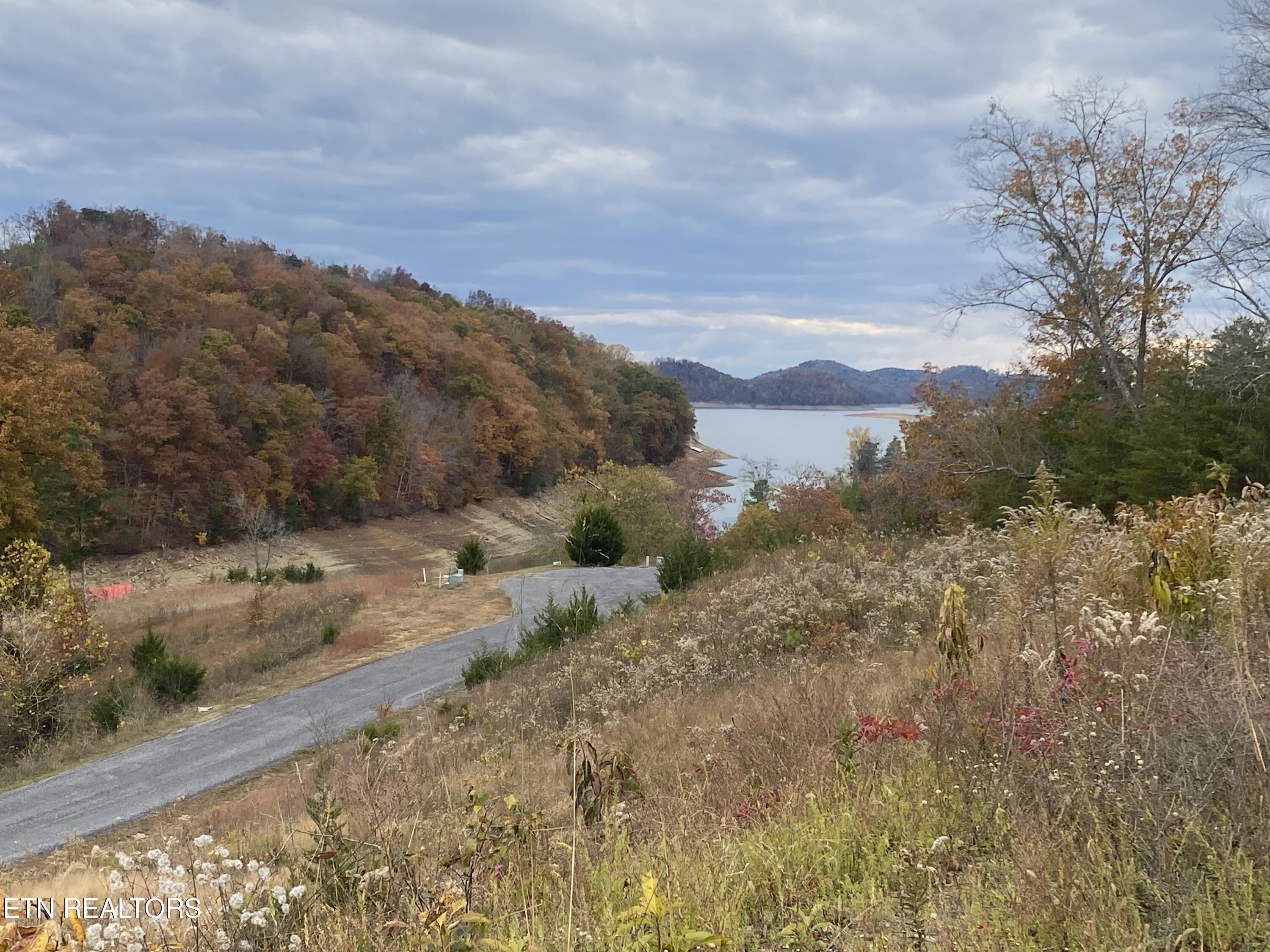 Lot 10 Stone Cove Way Dandridge TN 37725