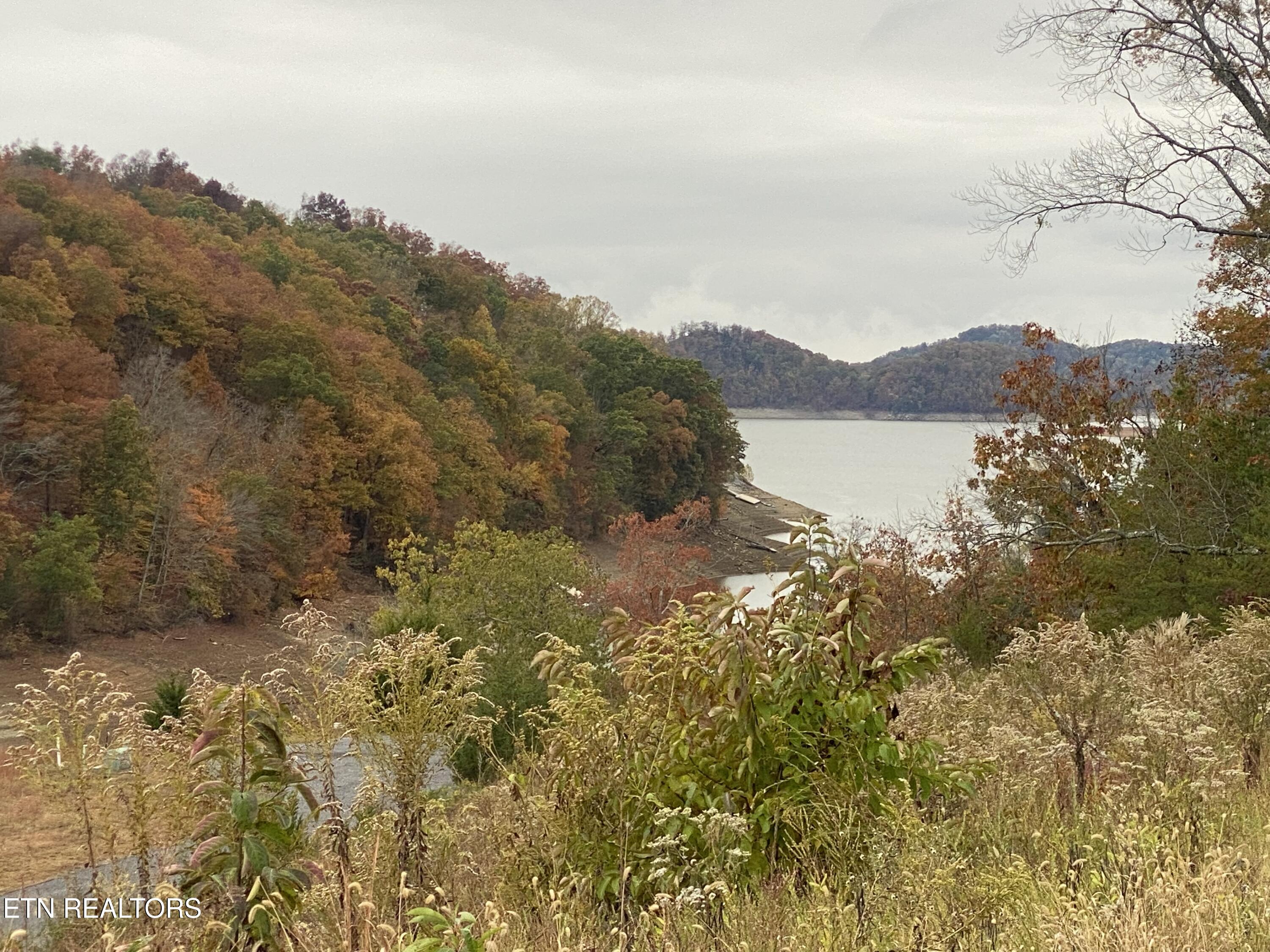 Lot 10 Stone Cove Way Dandridge TN 37725