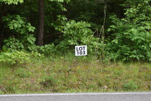 Lot 103 Halfmoon Shores Drive Ten Mile TN 37880