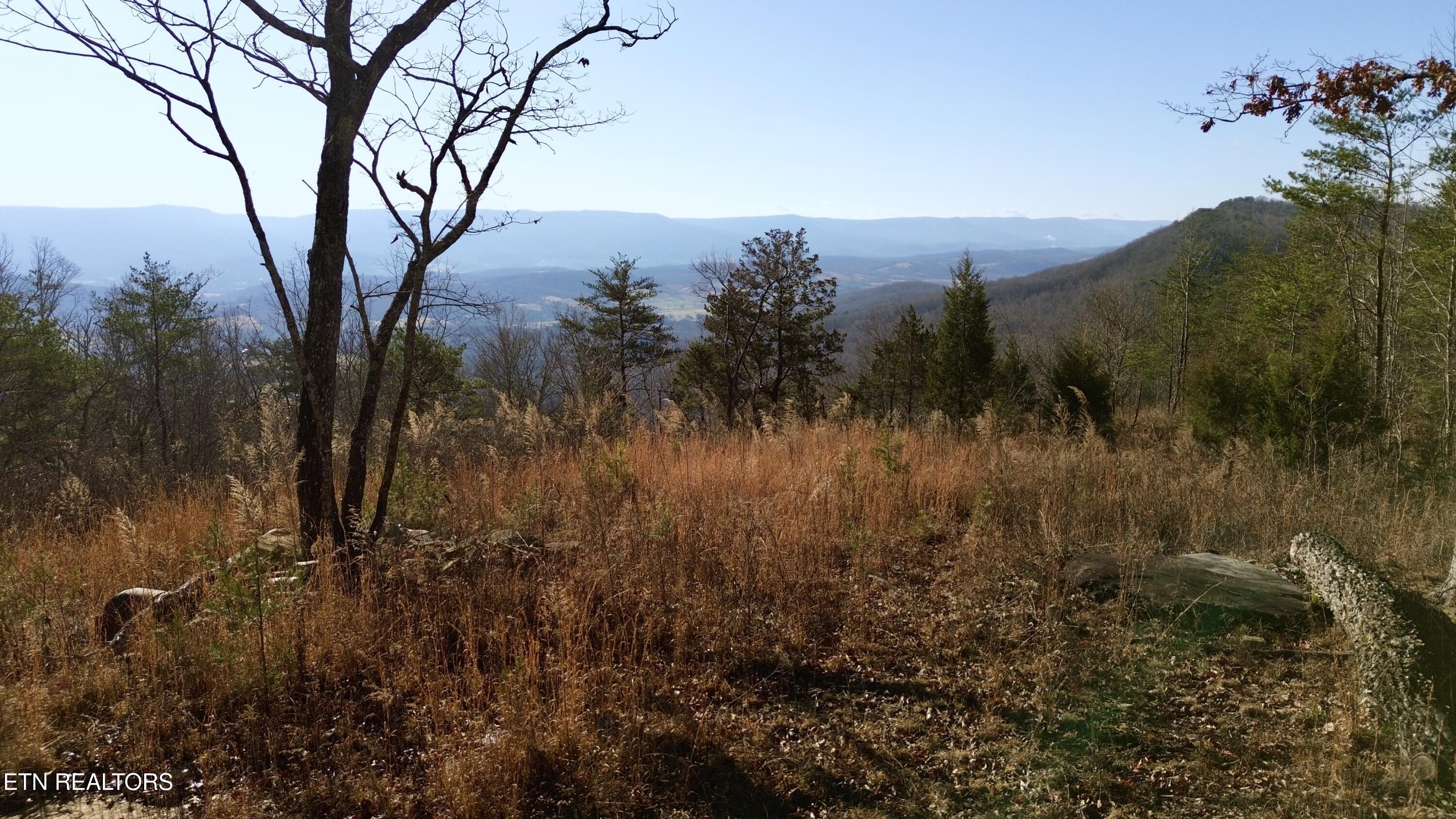 104 Sunrise Trail Pikeville TN 37367