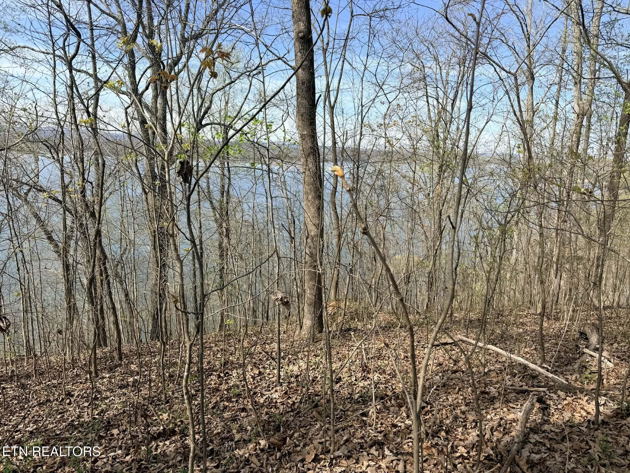 Lot 8 Johnson Lane Ten Mile TN 37880