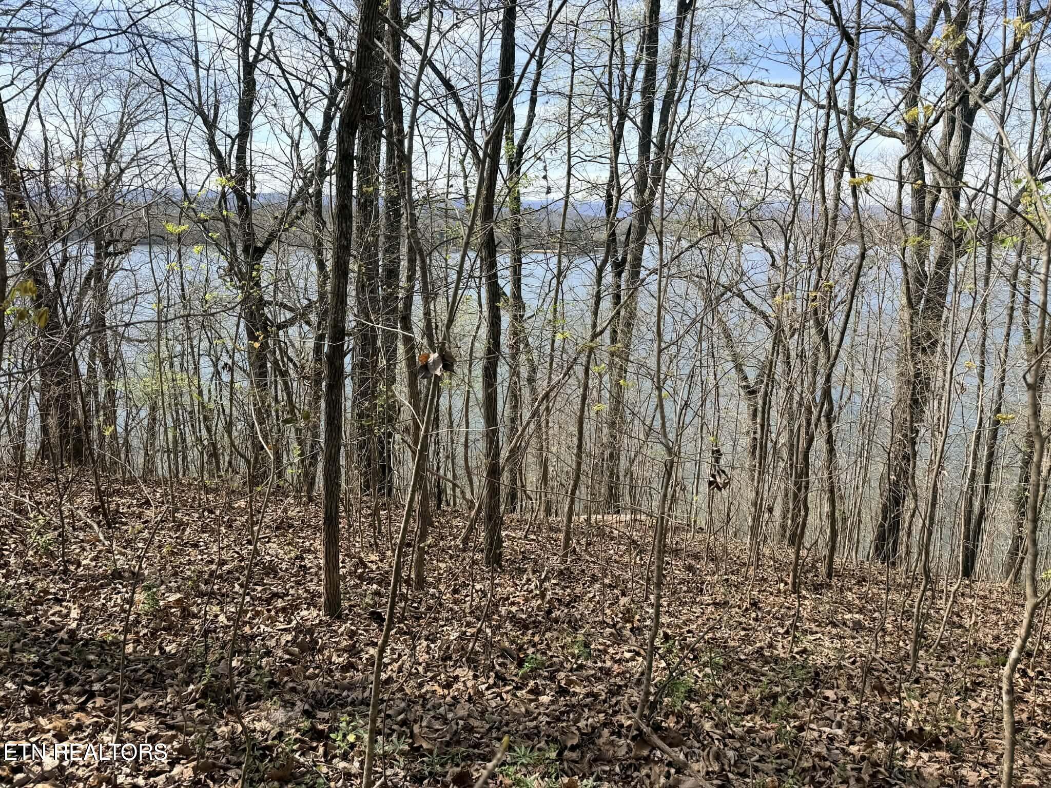 Lot 8 Johnson Lane Ten Mile TN 37880