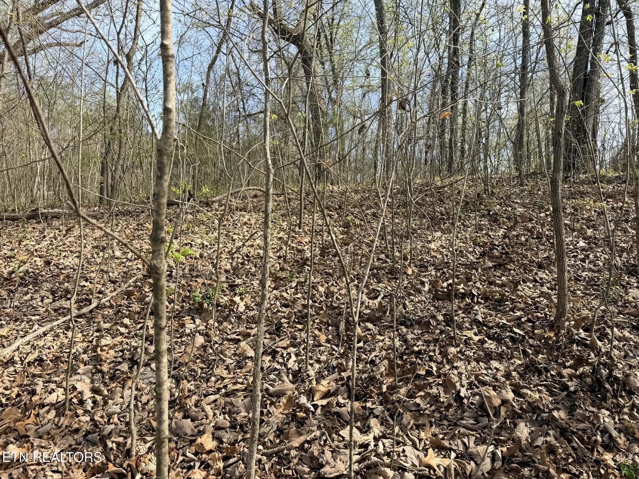 Lot 8 Johnson Lane Ten Mile TN 37880
