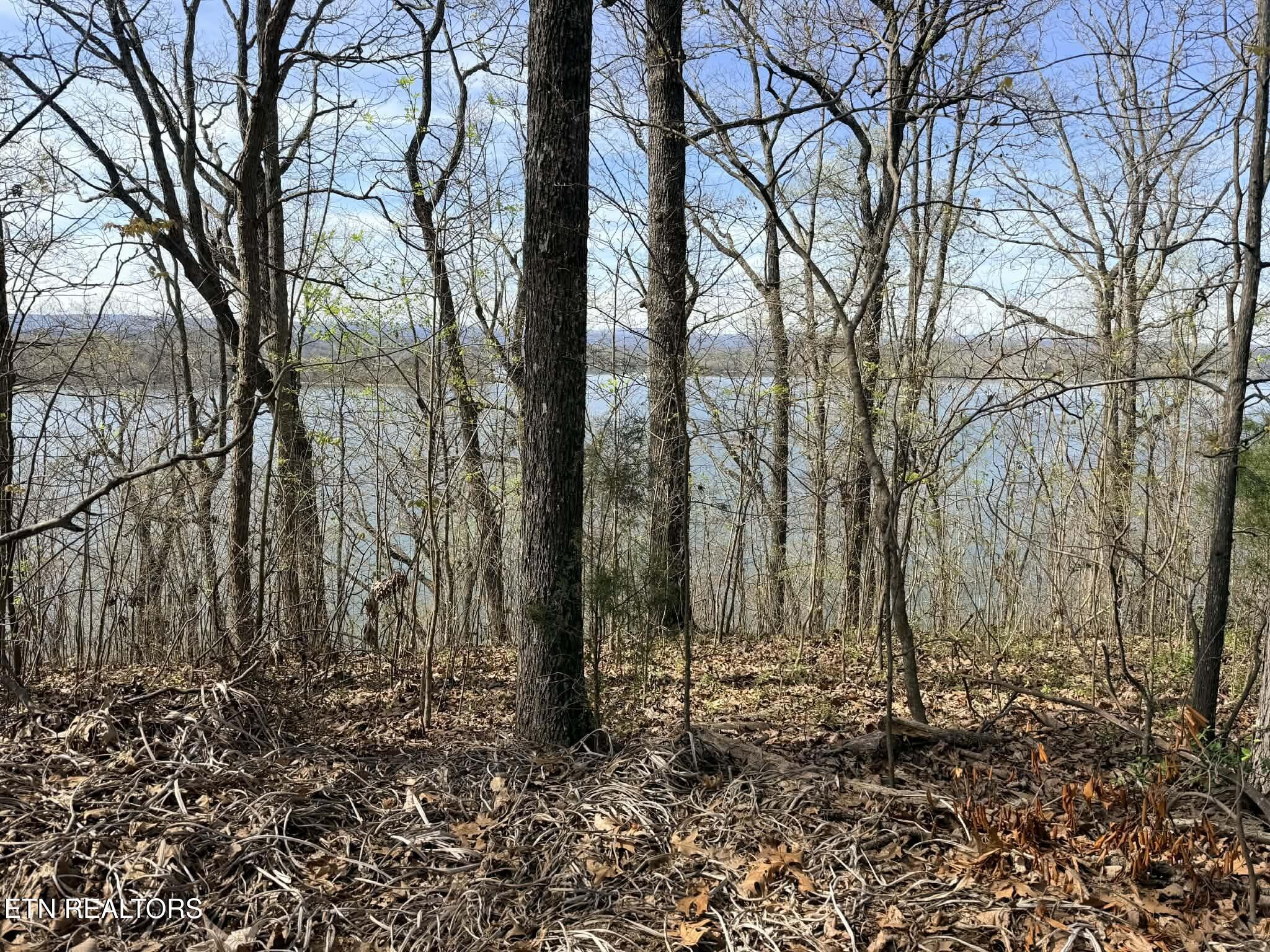 Lot 8 Johnson Lane Ten Mile TN 37880