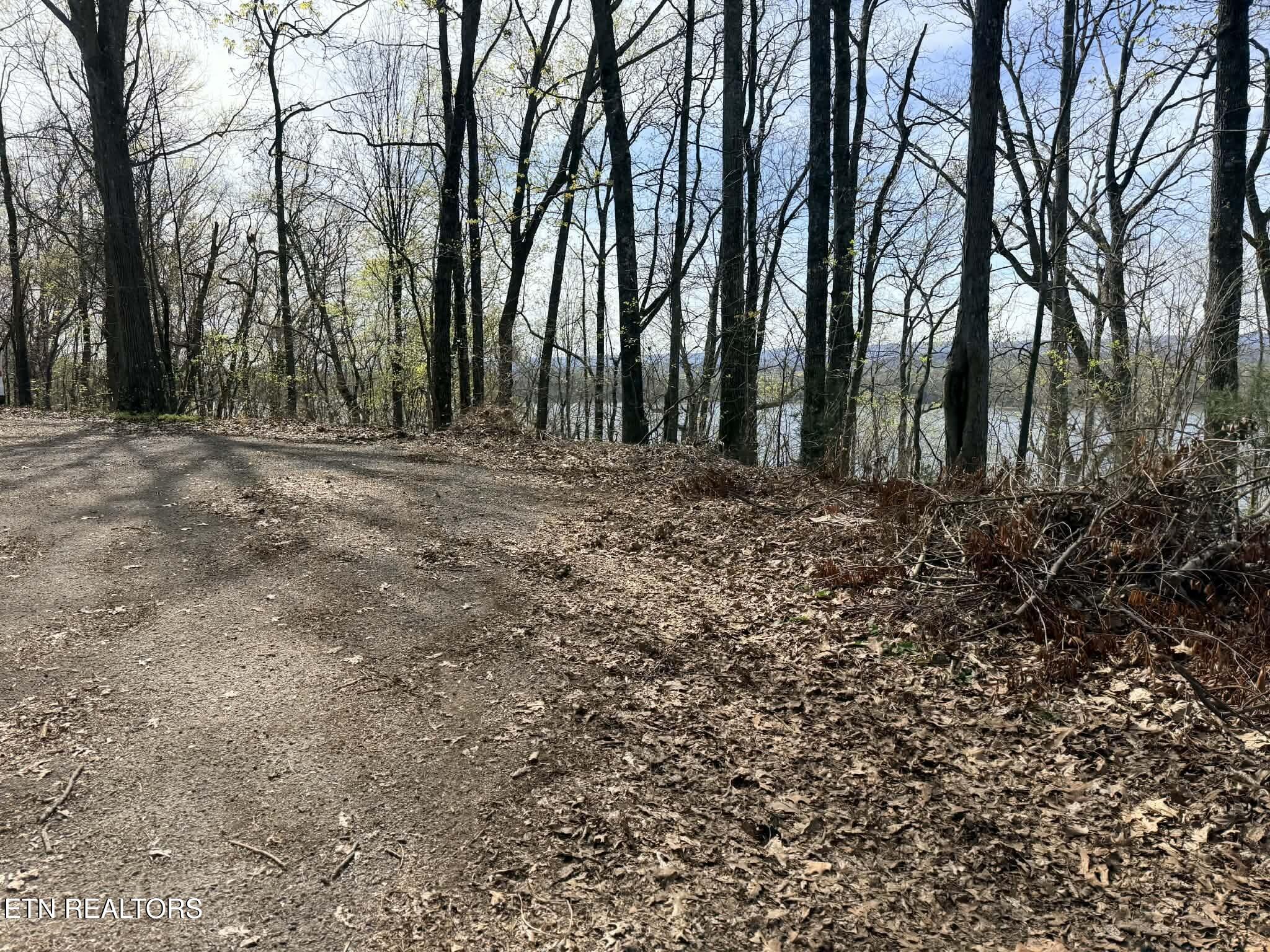 Lot 8 Johnson Lane Ten Mile TN 37880