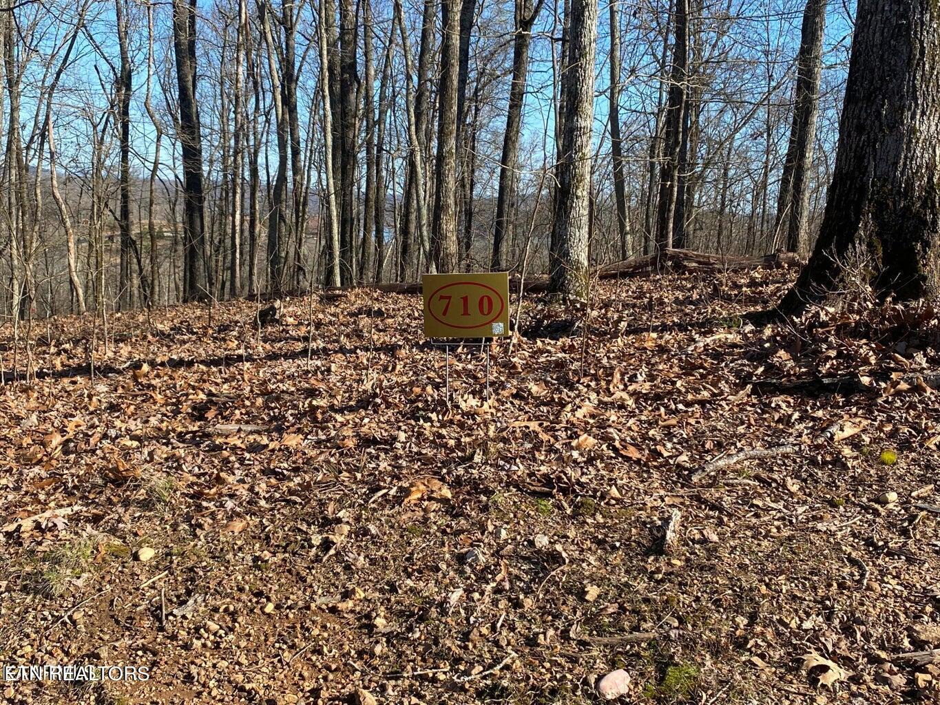 Grande Vista Drive Rockwood TN 37854