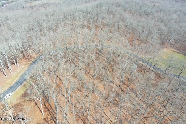 Grande Vista Drive Rockwood TN 37854