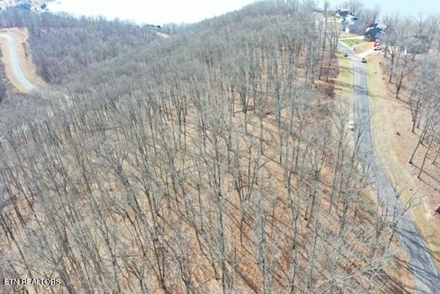 Grande Vista Drive Rockwood TN 37854