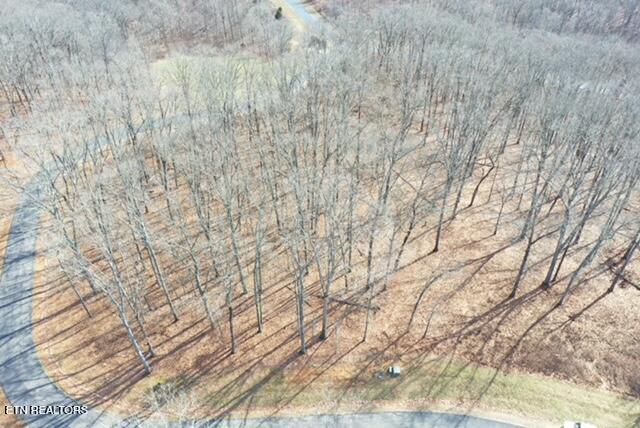 Grande Vista Drive Rockwood TN 37854