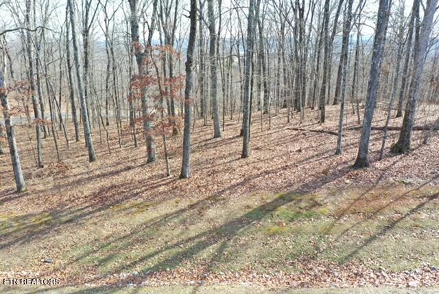 Grande Vista Drive Rockwood TN 37854