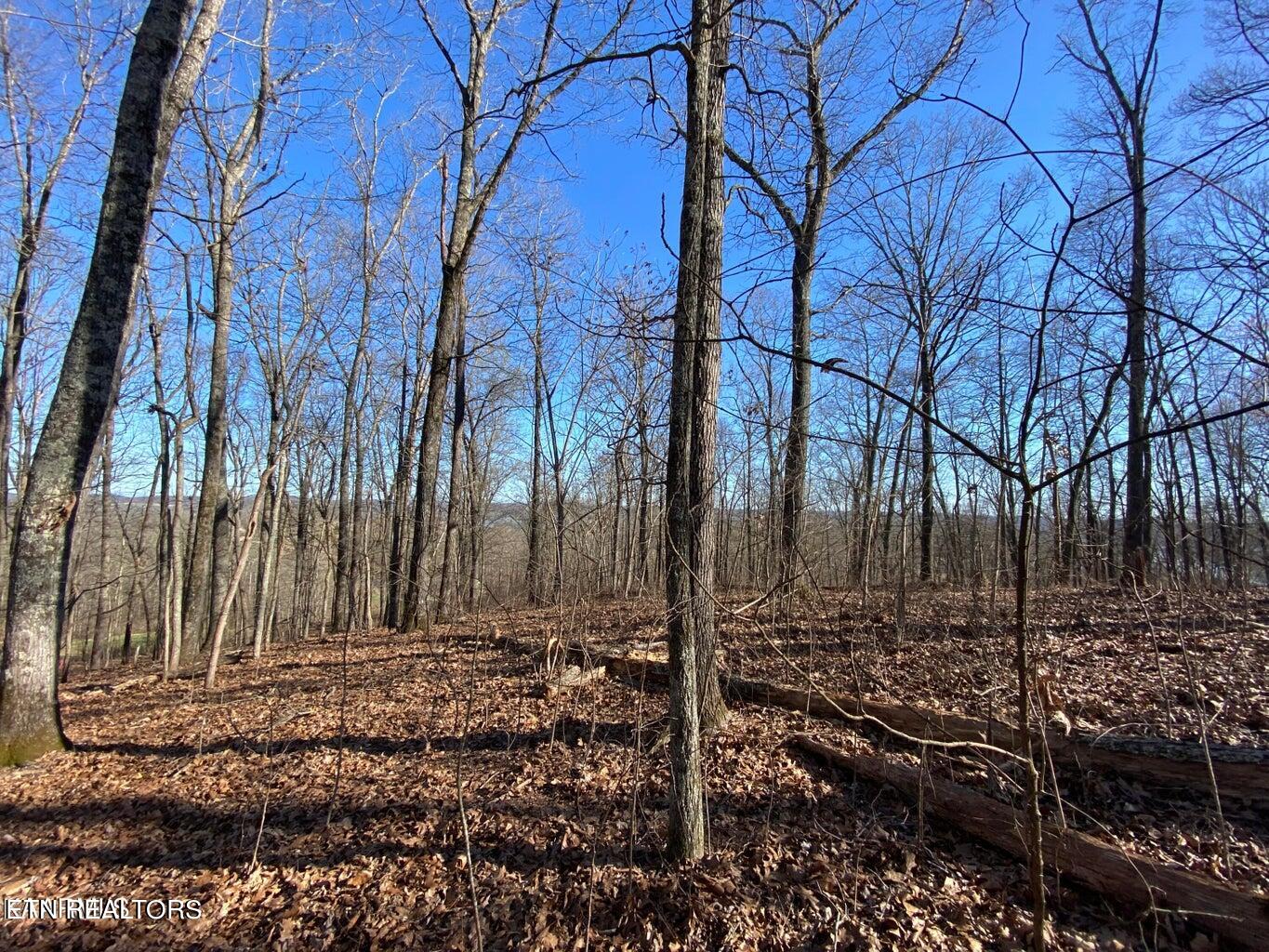 Grande Vista Drive Rockwood TN 37854