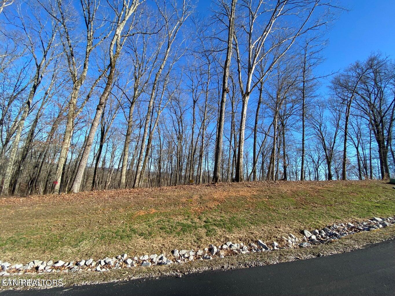 Grande Vista Drive Rockwood TN 37854