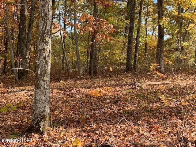 Grande Vista Drive Rockwood TN 37854
