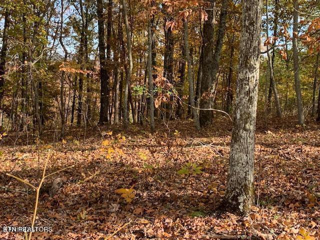 Grande Vista Drive Rockwood TN 37854