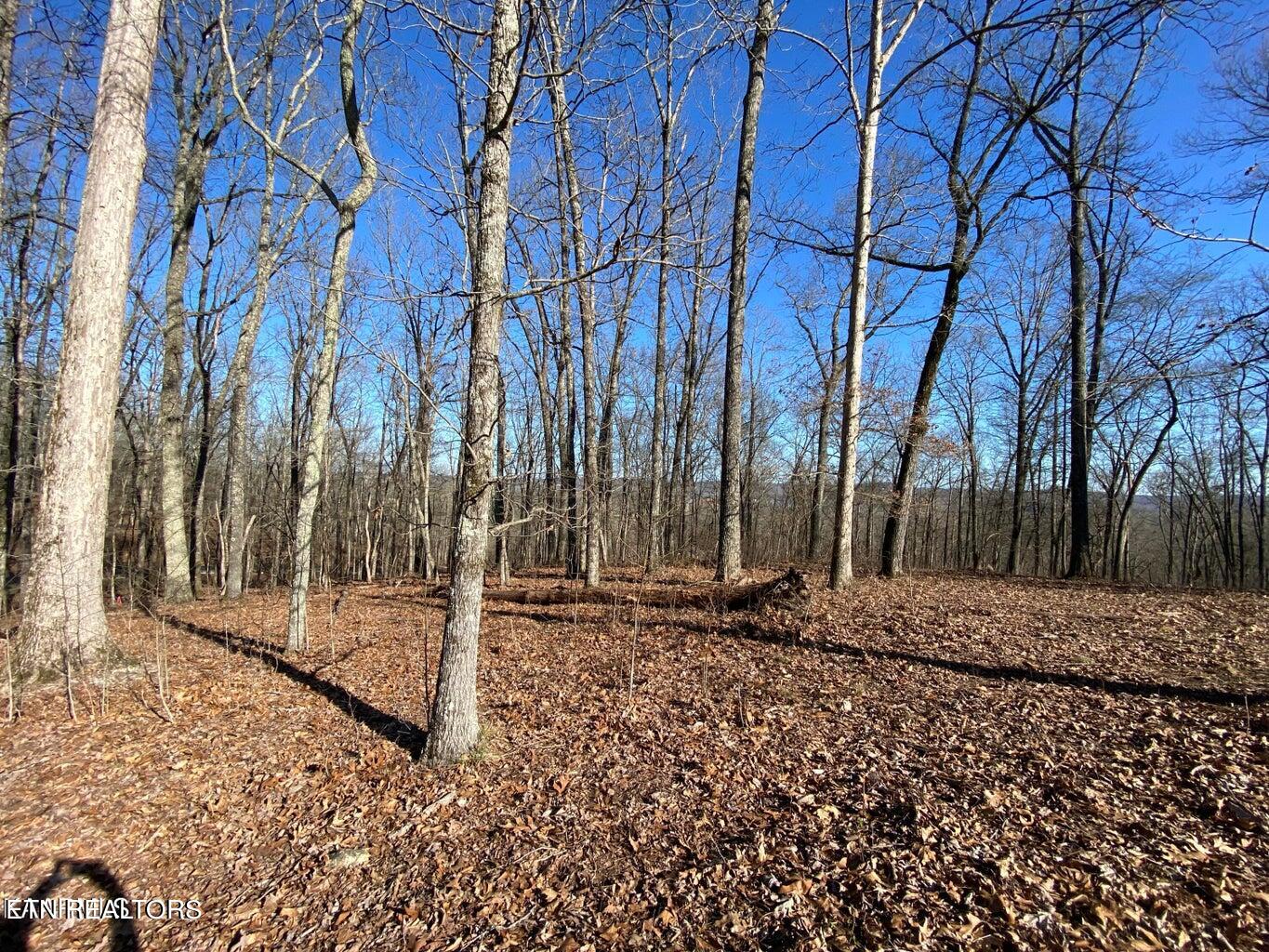 Grande Vista Drive Rockwood TN 37854
