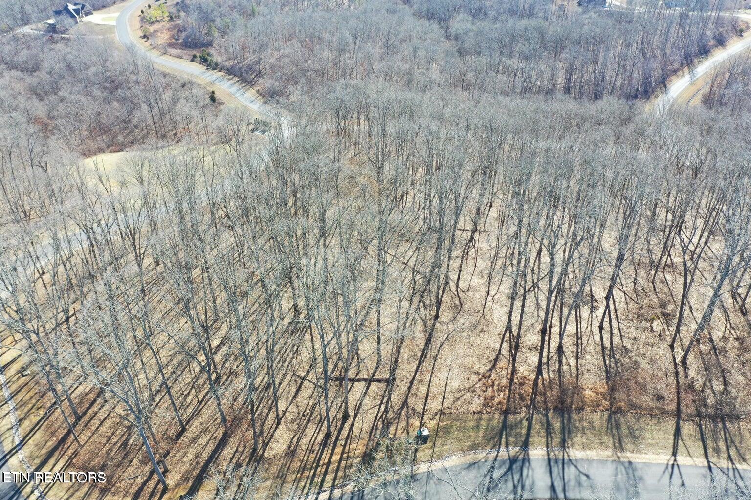 Grande Vista Drive Rockwood TN 37854