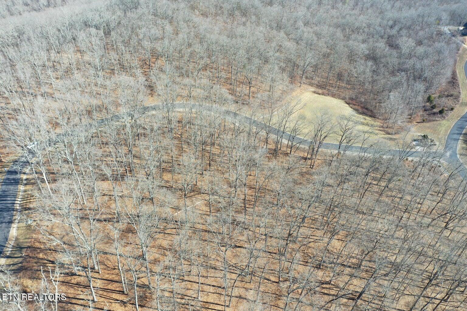Grande Vista Drive Rockwood TN 37854
