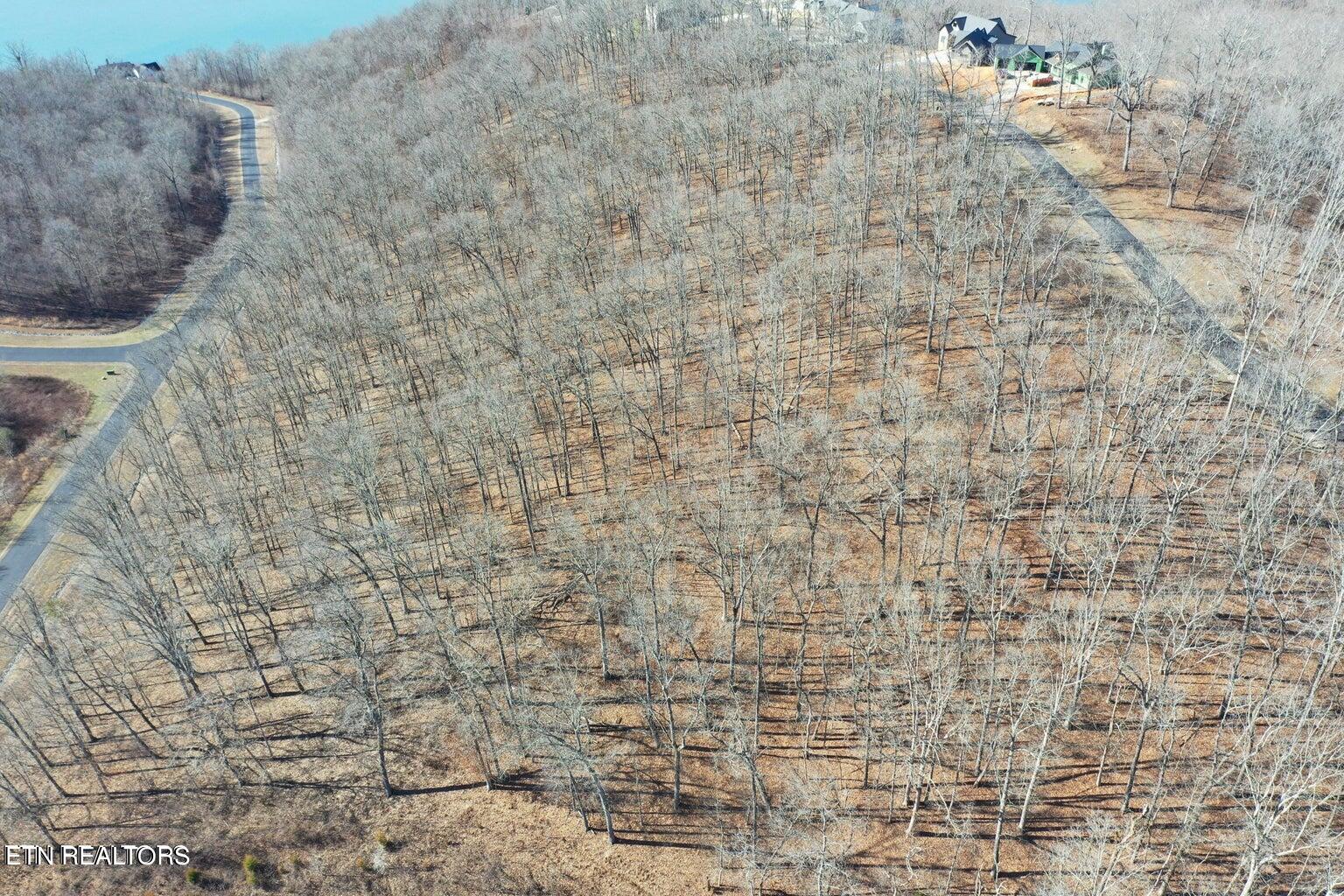 Grande Vista Drive Rockwood TN 37854