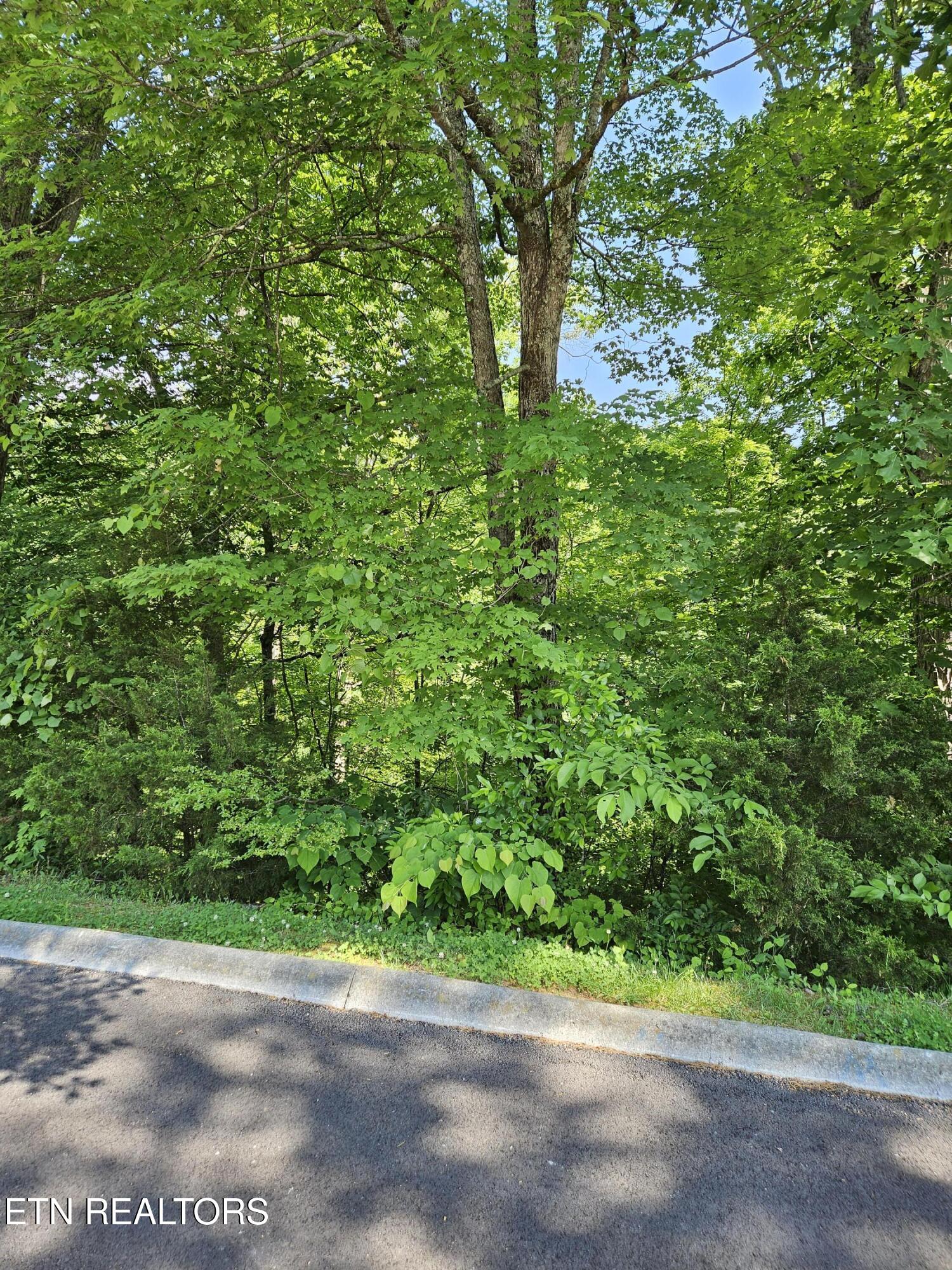 Lot 15 Saddleback Way Sevierville TN 37862