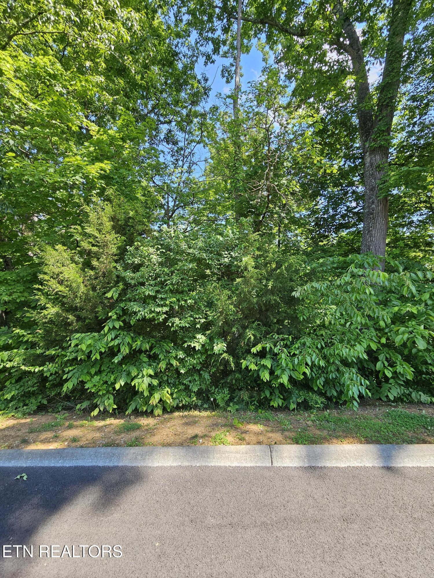 Lot 15 Saddleback Way Sevierville TN 37862