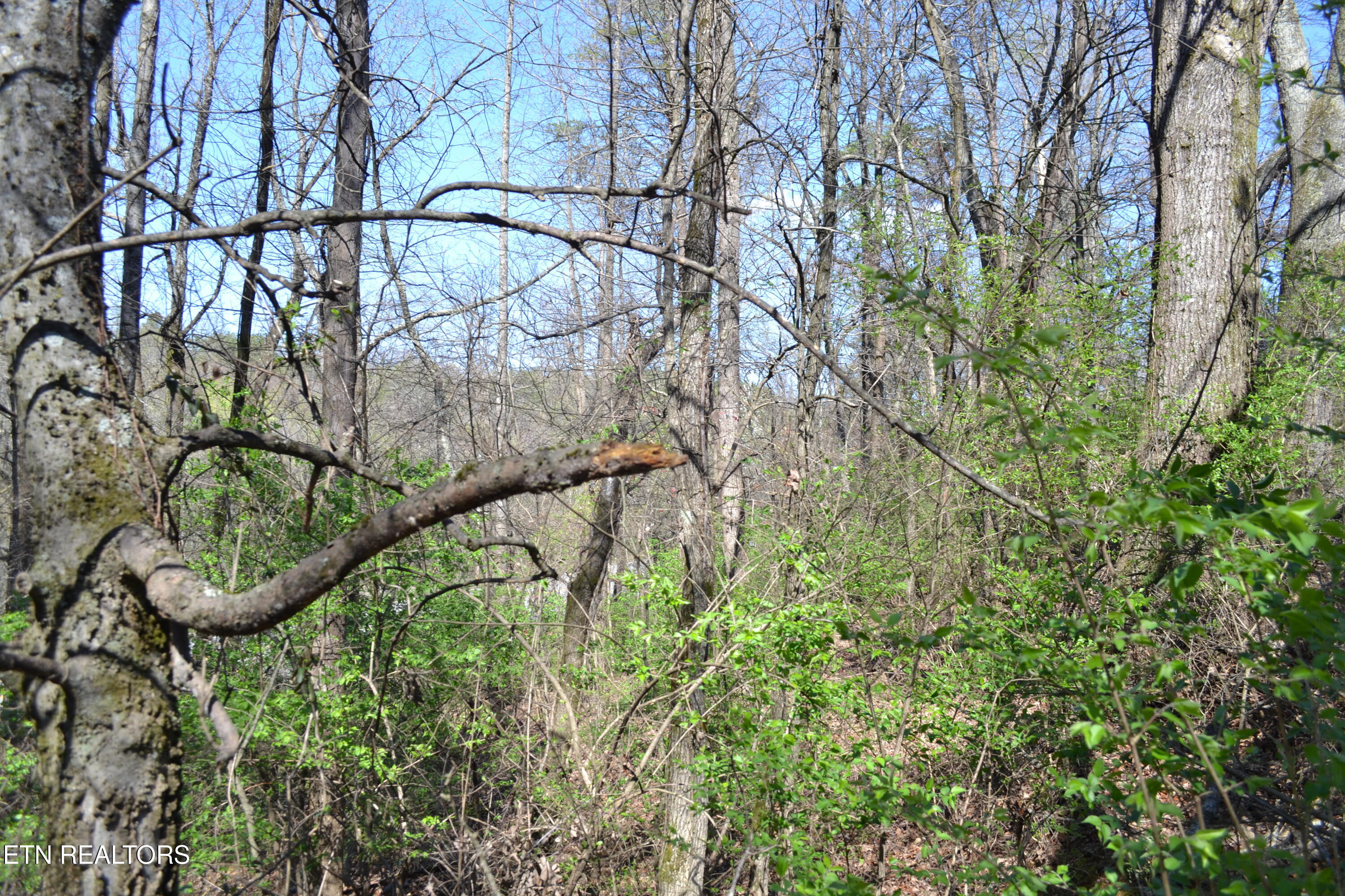 3024 Us-411 Maryville TN 37801