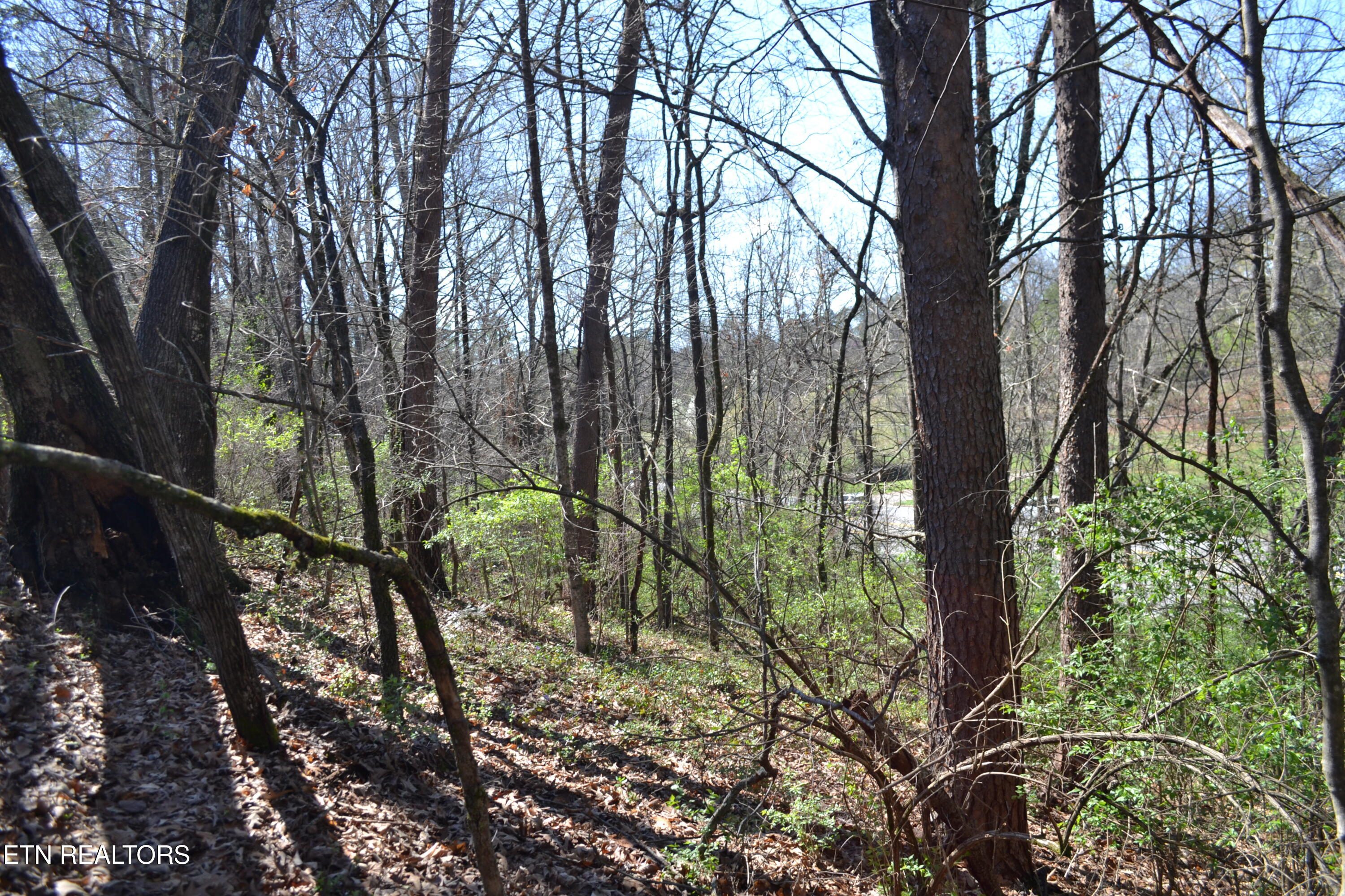3024 Us-411 Maryville TN 37801