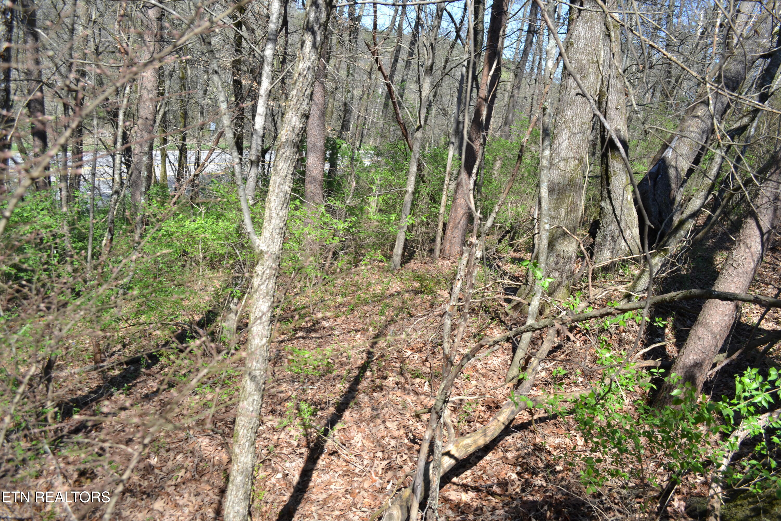 3024 Us-411 Maryville TN 37801