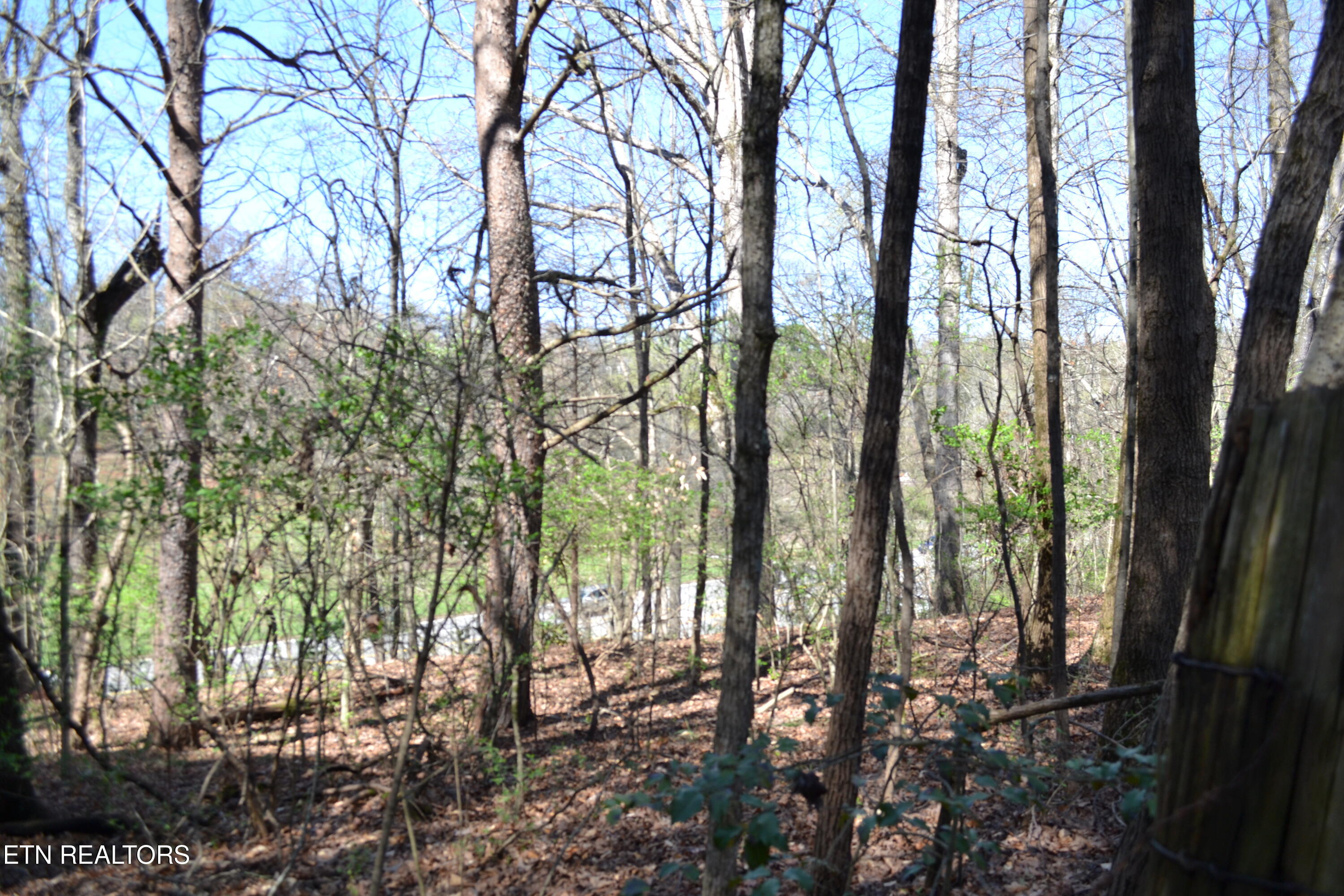 3024 Us-411 Maryville TN 37801