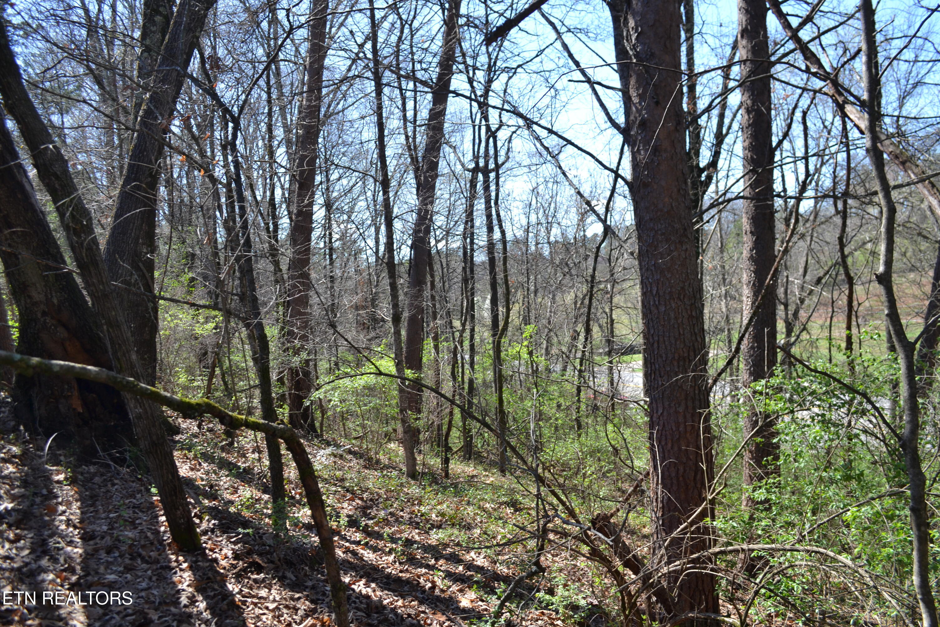 3024 Us-411 Maryville TN 37801