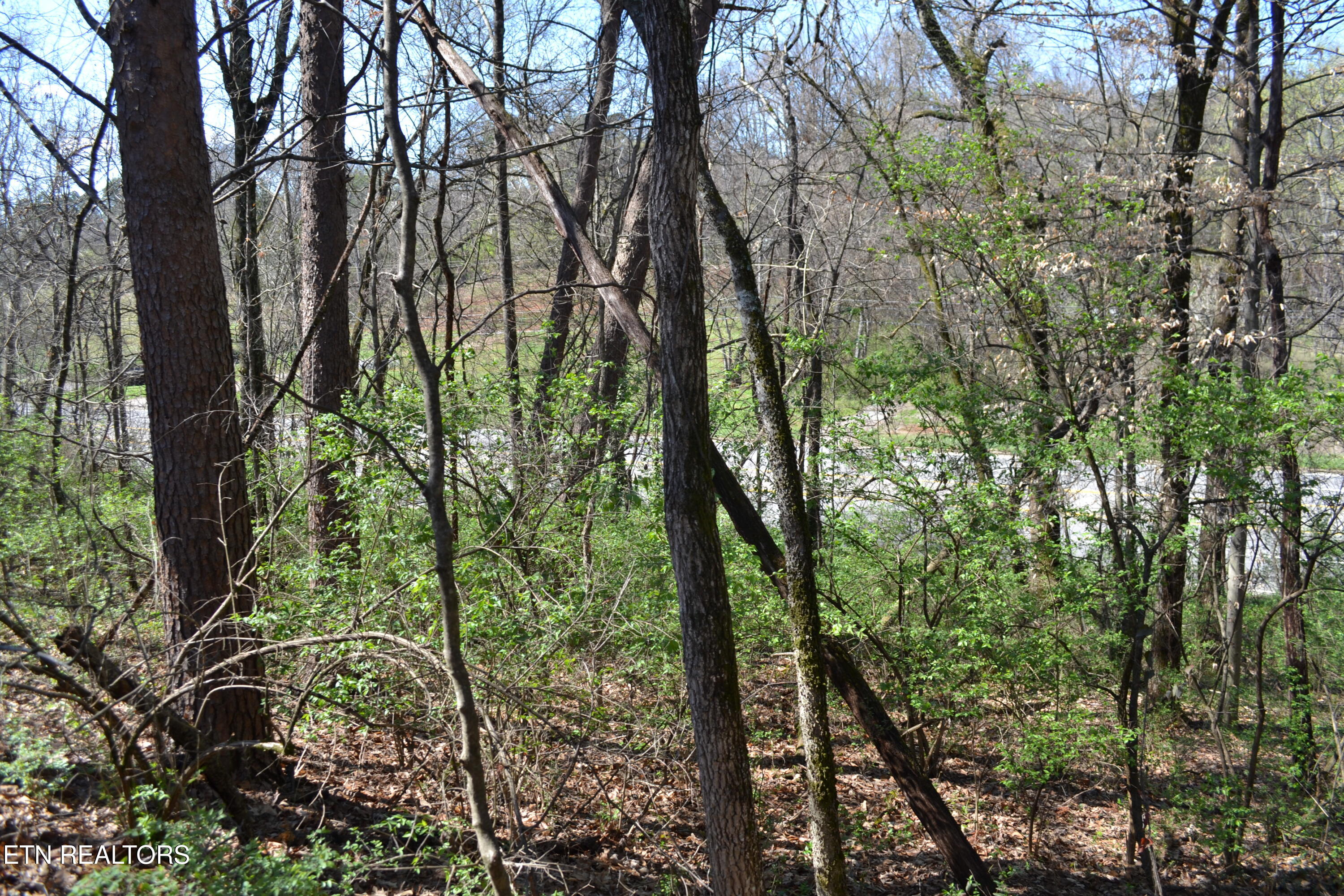 3024 Us-411 Maryville TN 37801