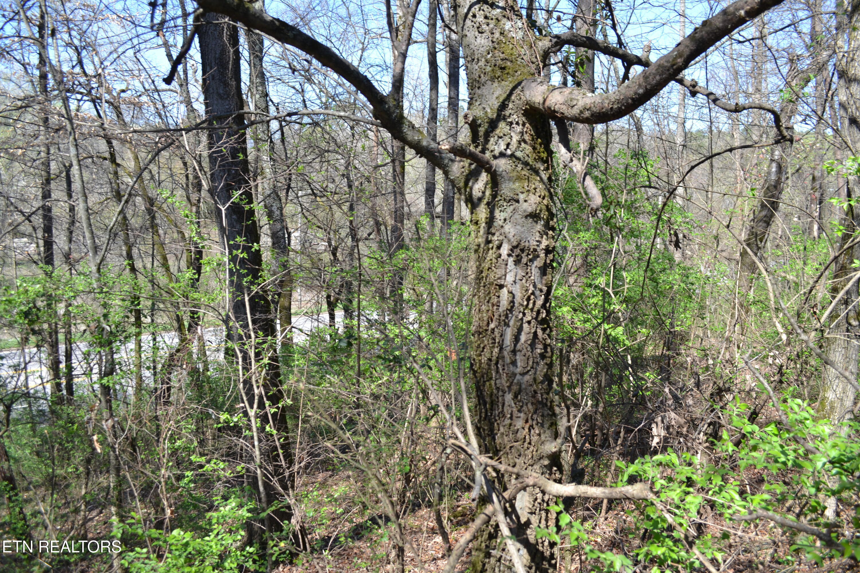 3024 Us-411 Maryville TN 37801