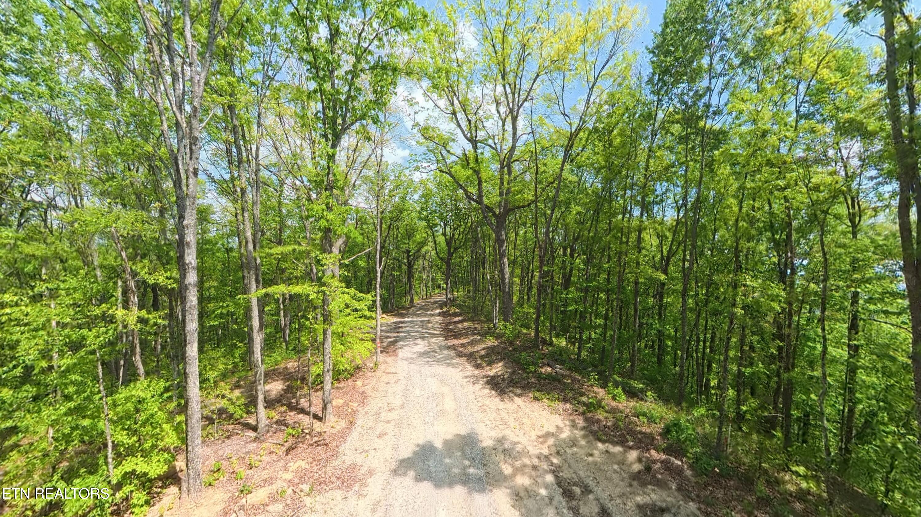 187 Eagle View Lane Jacksboro TN 37757
