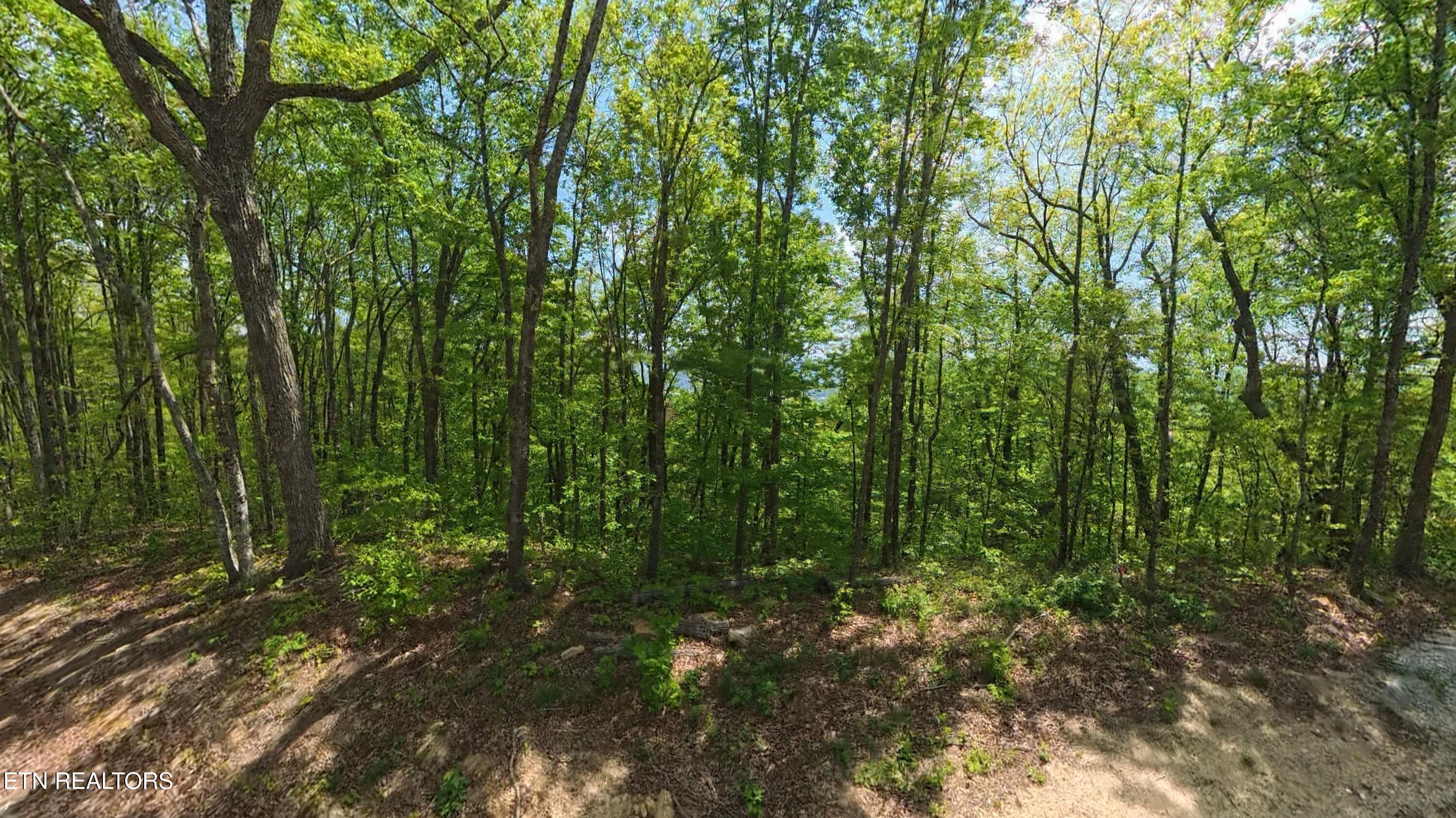 187 Eagle View Lane Jacksboro TN 37757