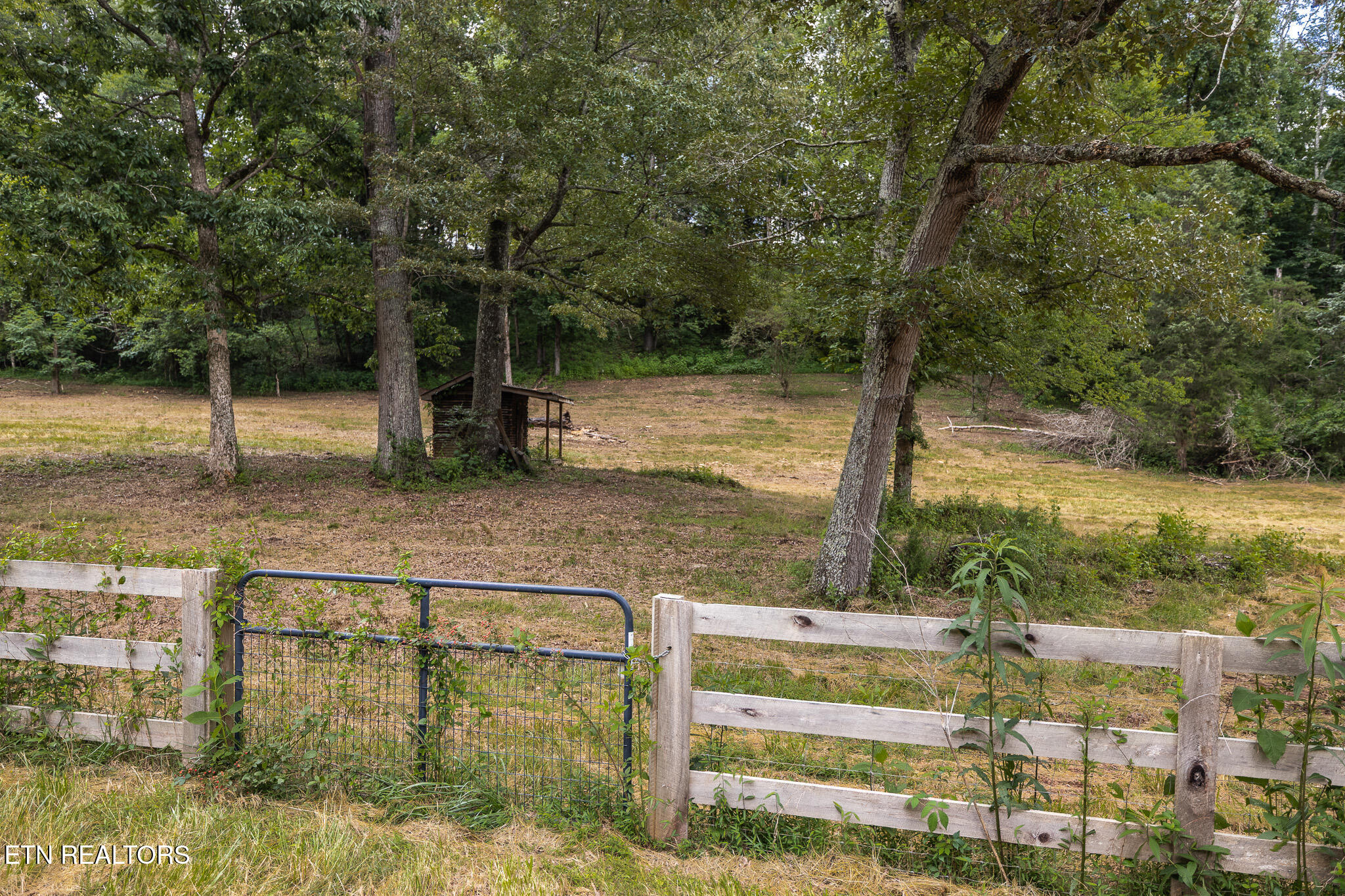 Marble Hill Road (10+ Acres) Friendsville TN 37737